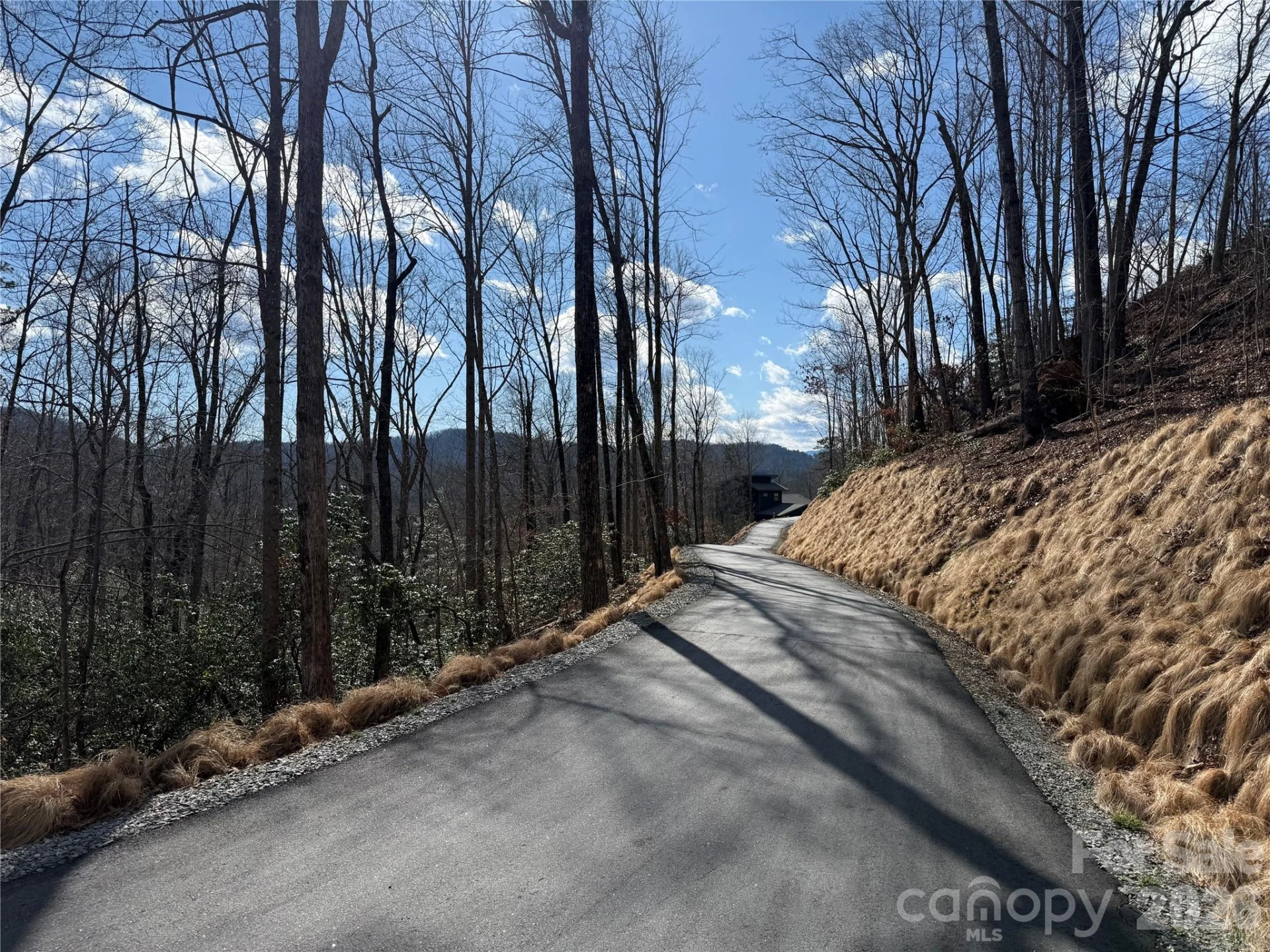Tract 1 Turtle Ridge Trail - Photo 13