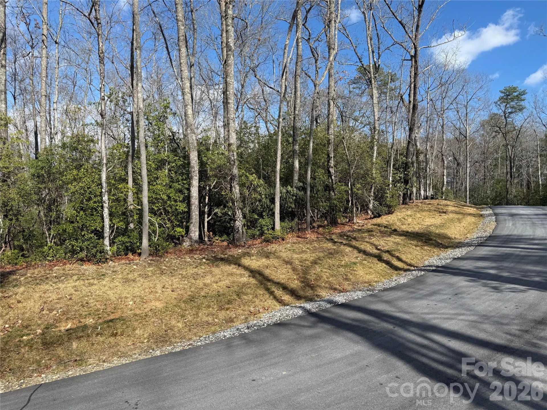 Tract 1 Turtle Ridge Trail - Photo 3