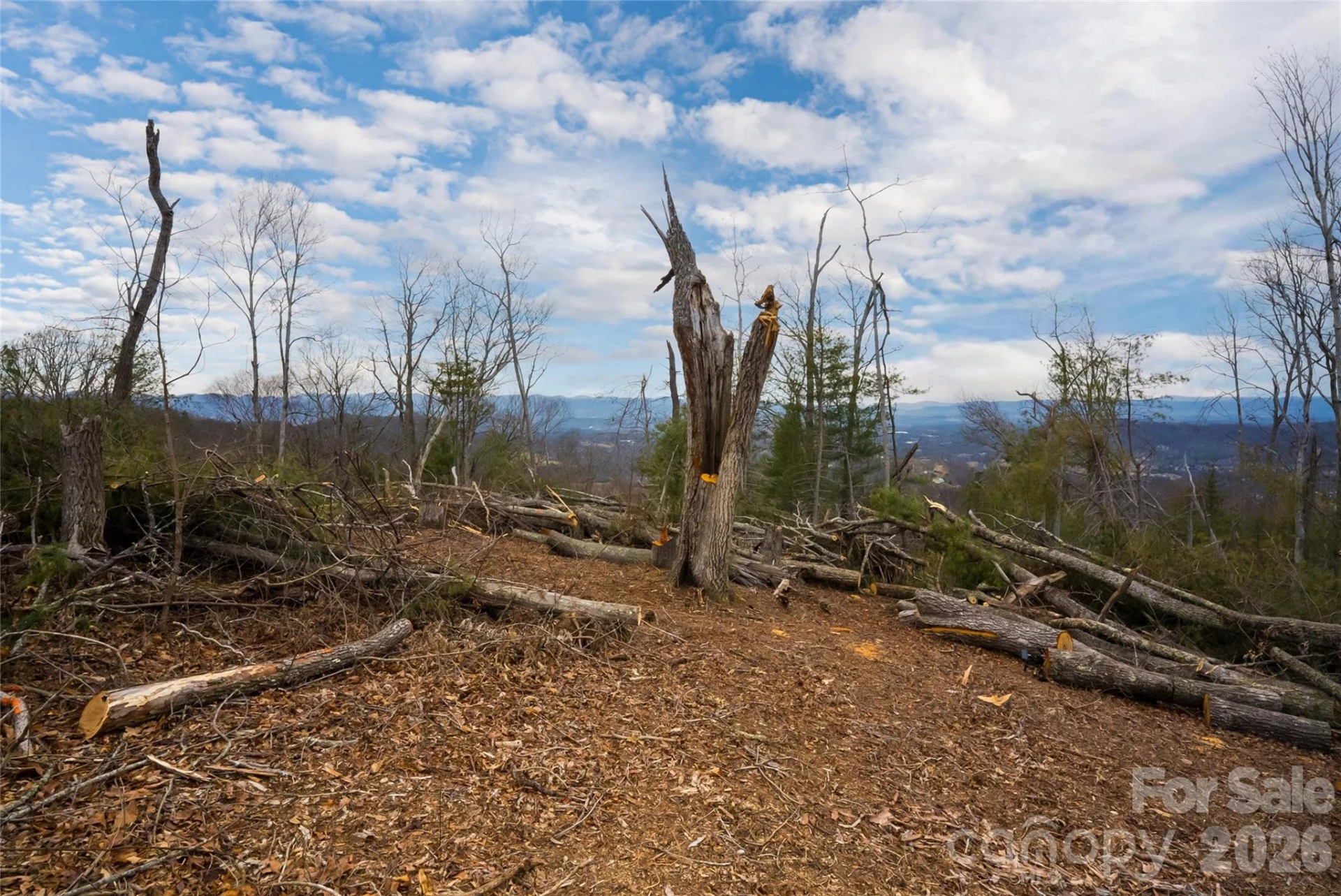 99999 Elk Mountain Scenic Highway #1 & 2 - Photo 20