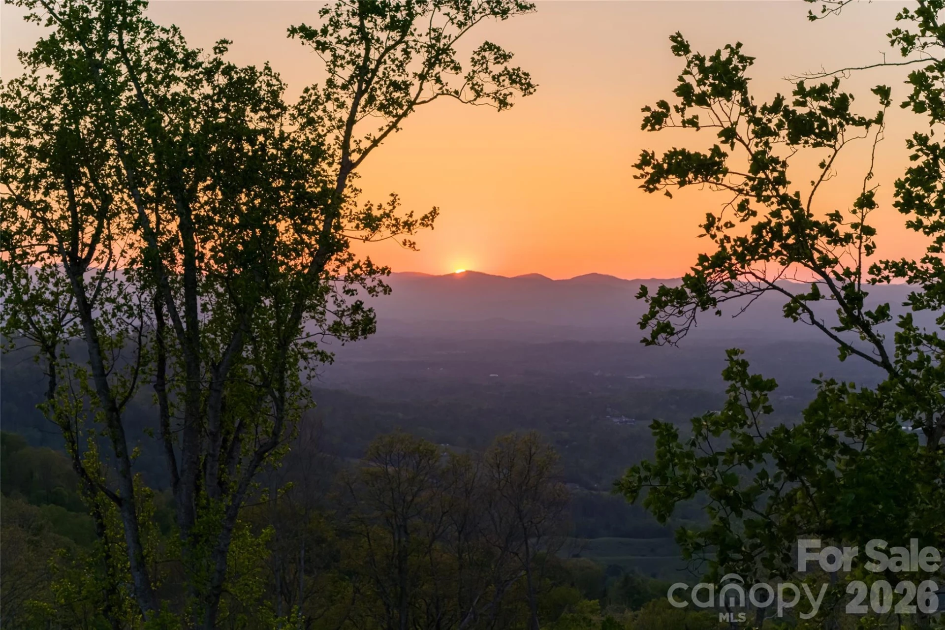 99999 Elk Mountain Scenic Highway #1 & 2 - Photo 23