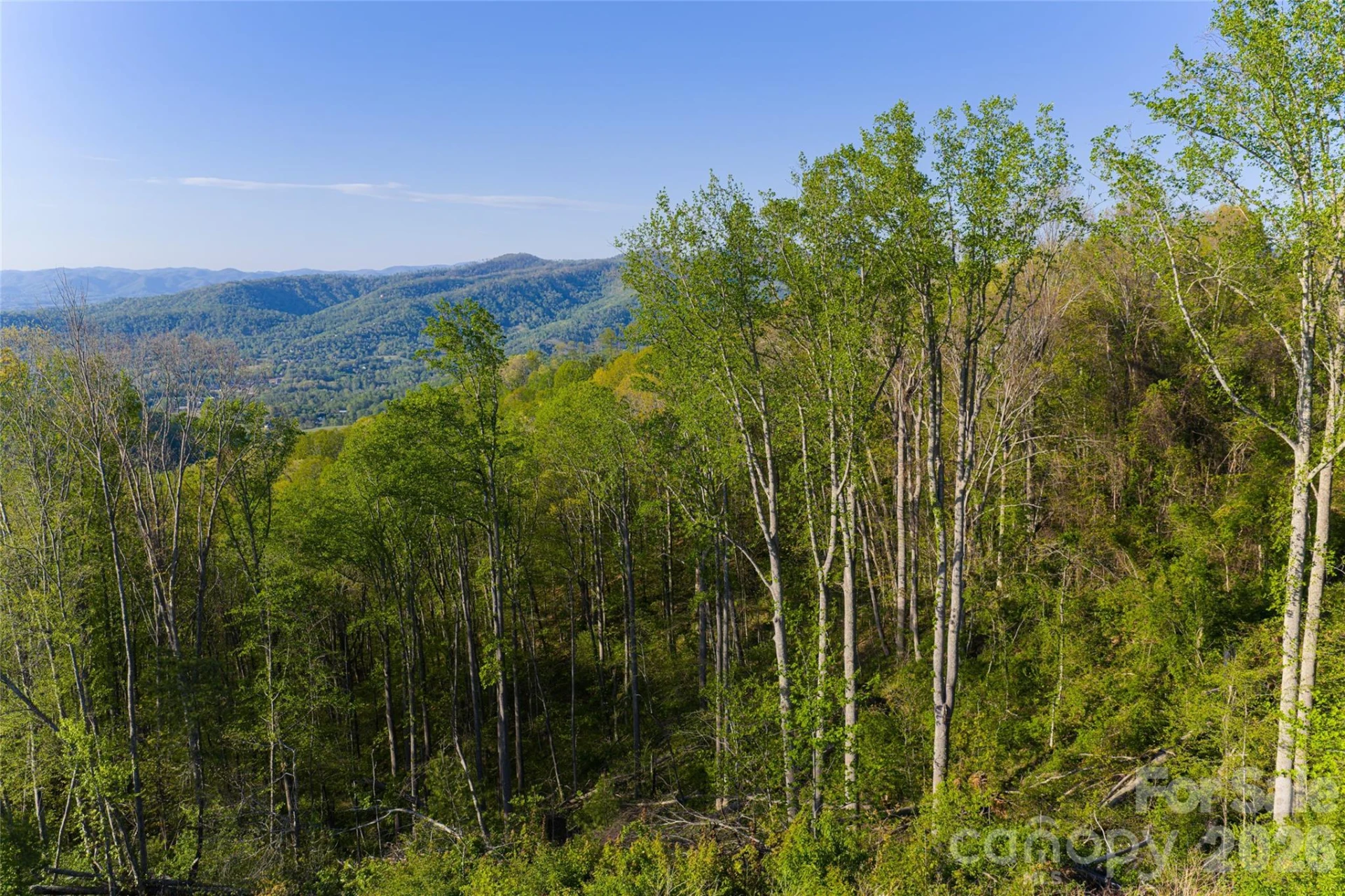 99999 Elk Mountain Scenic Highway #1 & 2 - Photo 39