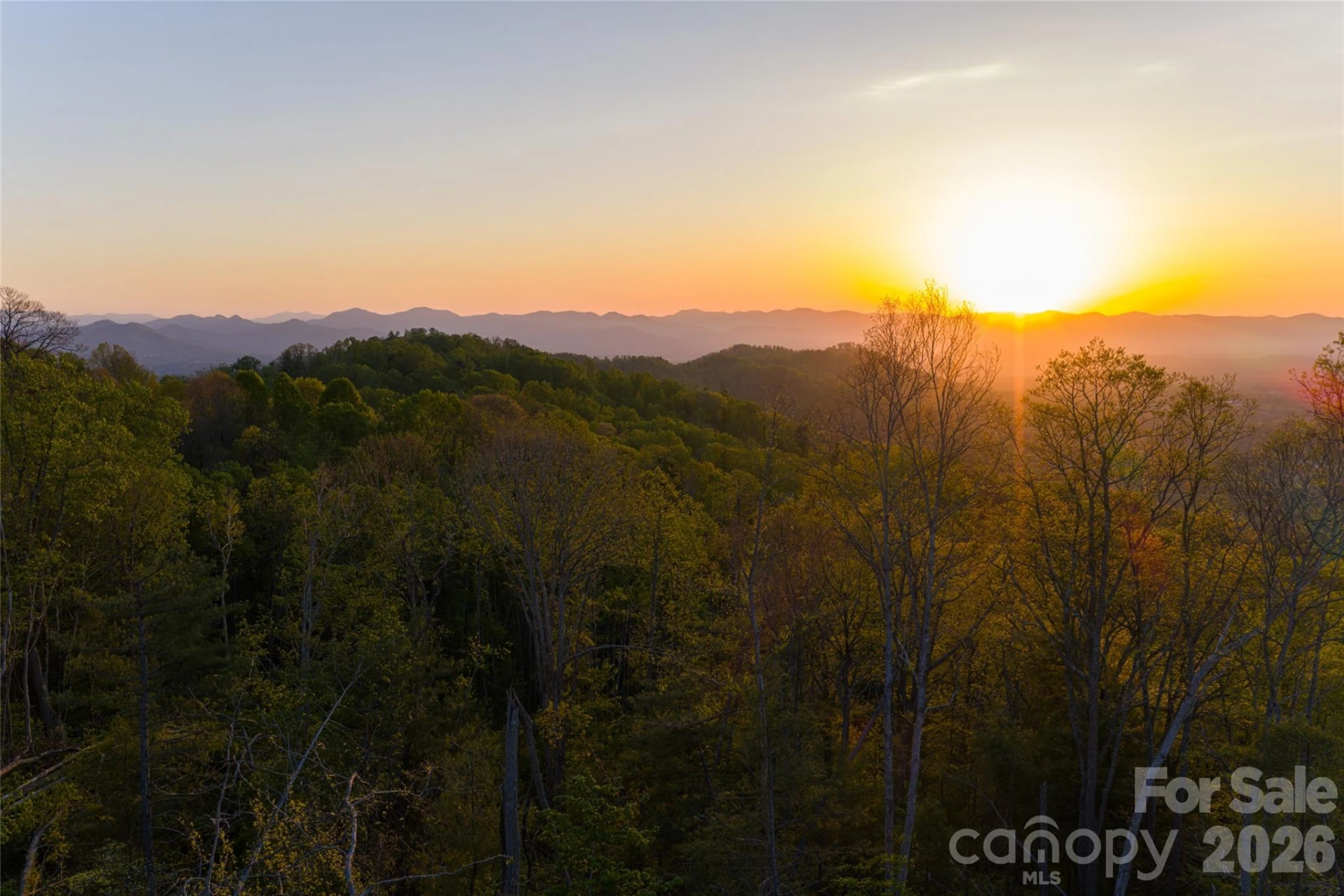 99999 Elk Mountain Scenic Highway #1 & 2 - Photo 45