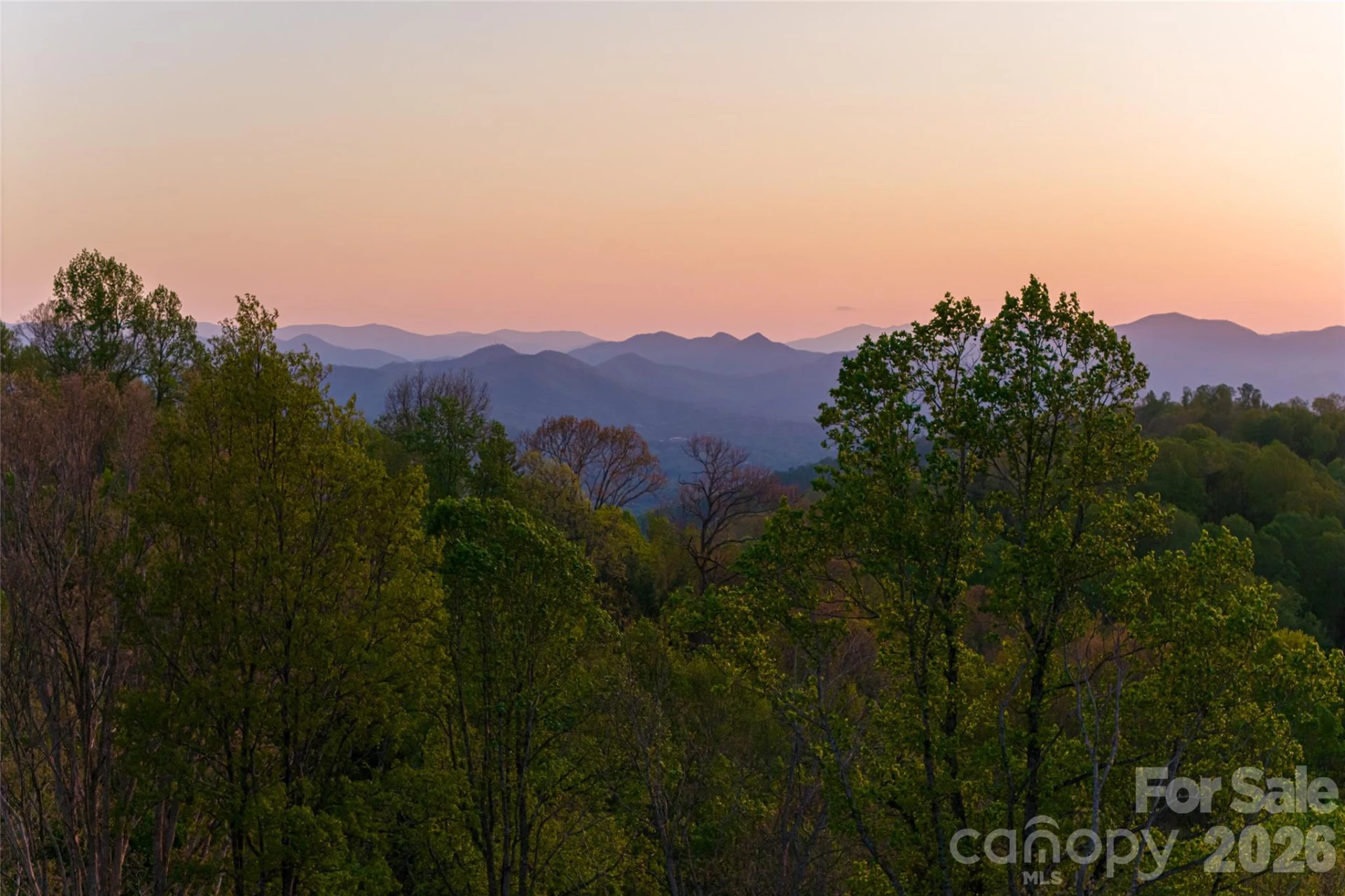 99999 Elk Mountain Scenic Highway #1 & 2 - Photo 6