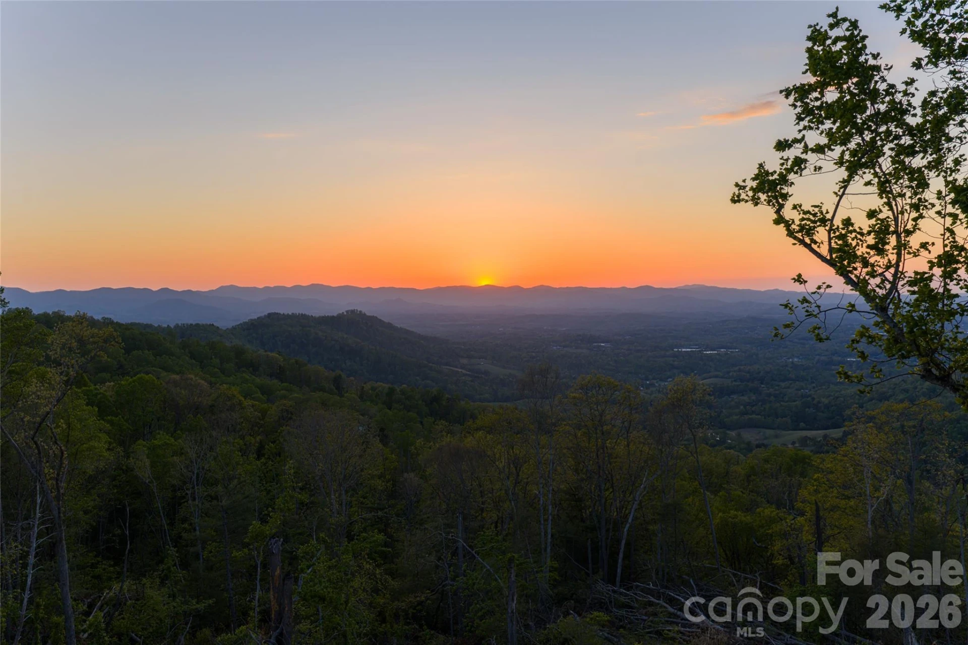99999 Elk Mountain Scenic Highway #1 & 2 - Photo 66