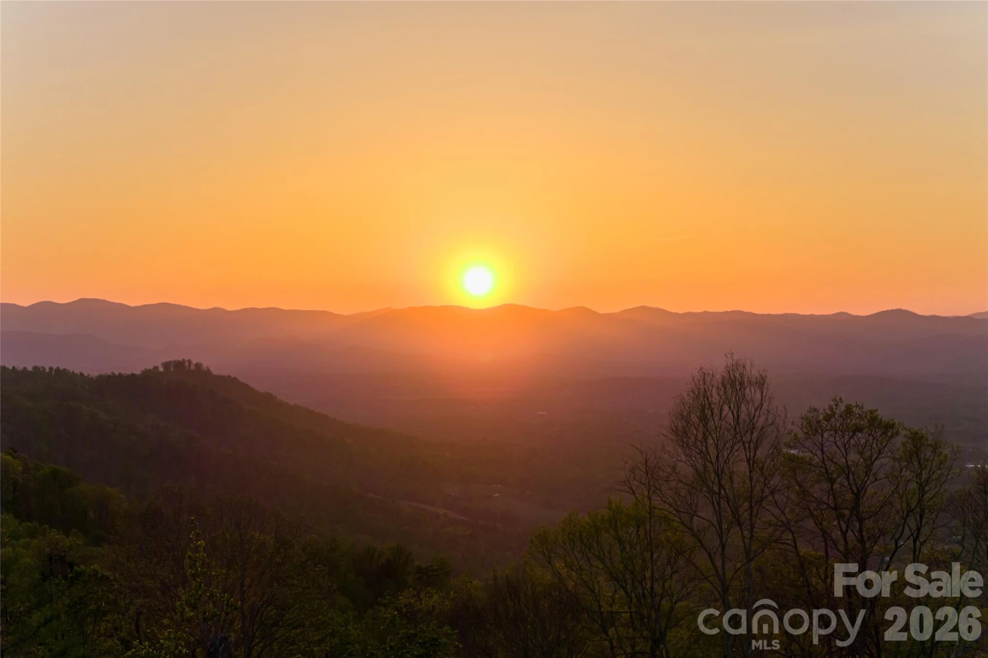 99999 Elk Mountain Scenic Highway #1 & 2 - Photo 70