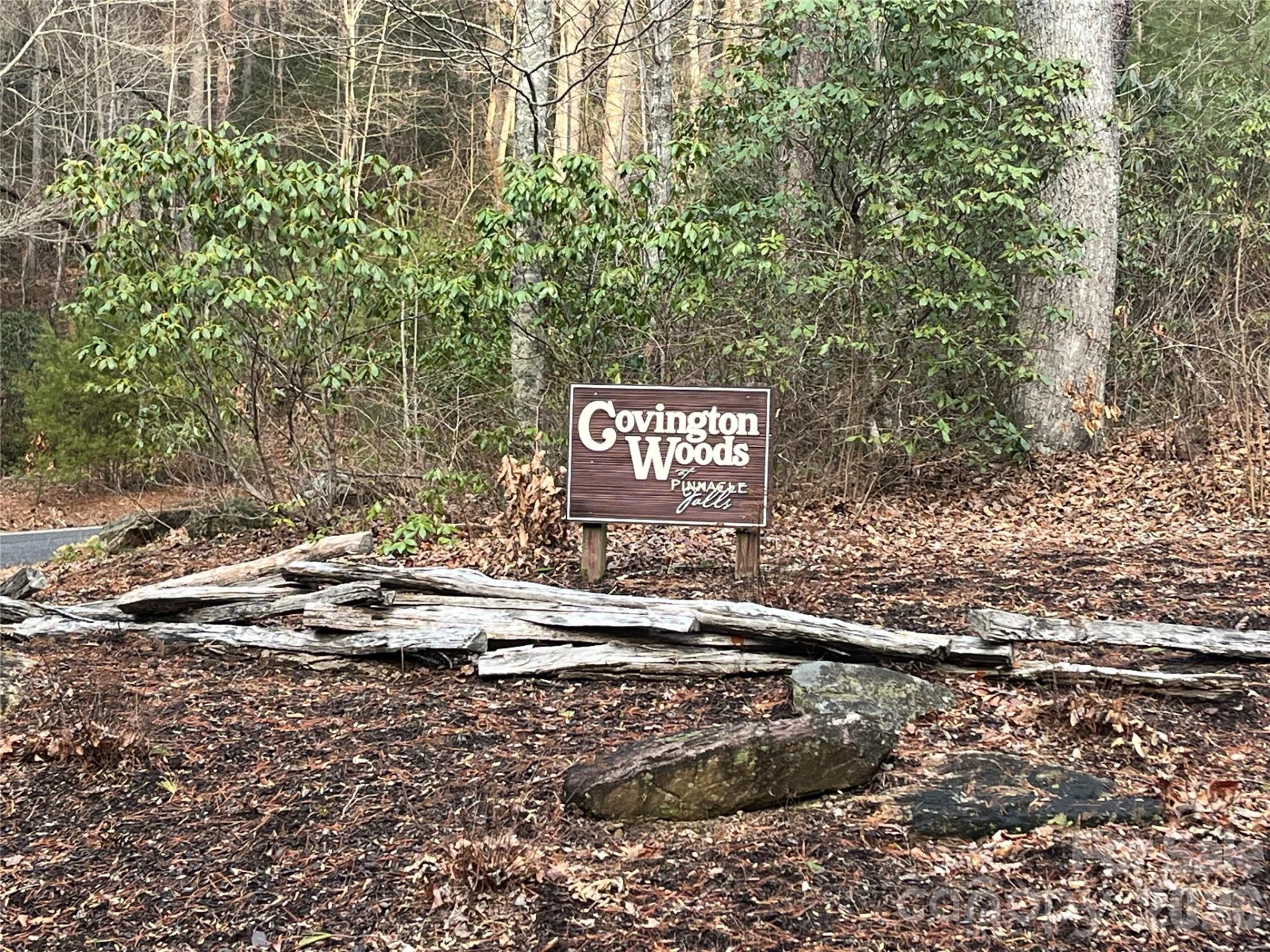 Lot 117 Huckleberry Ridge Lane - Photo 6