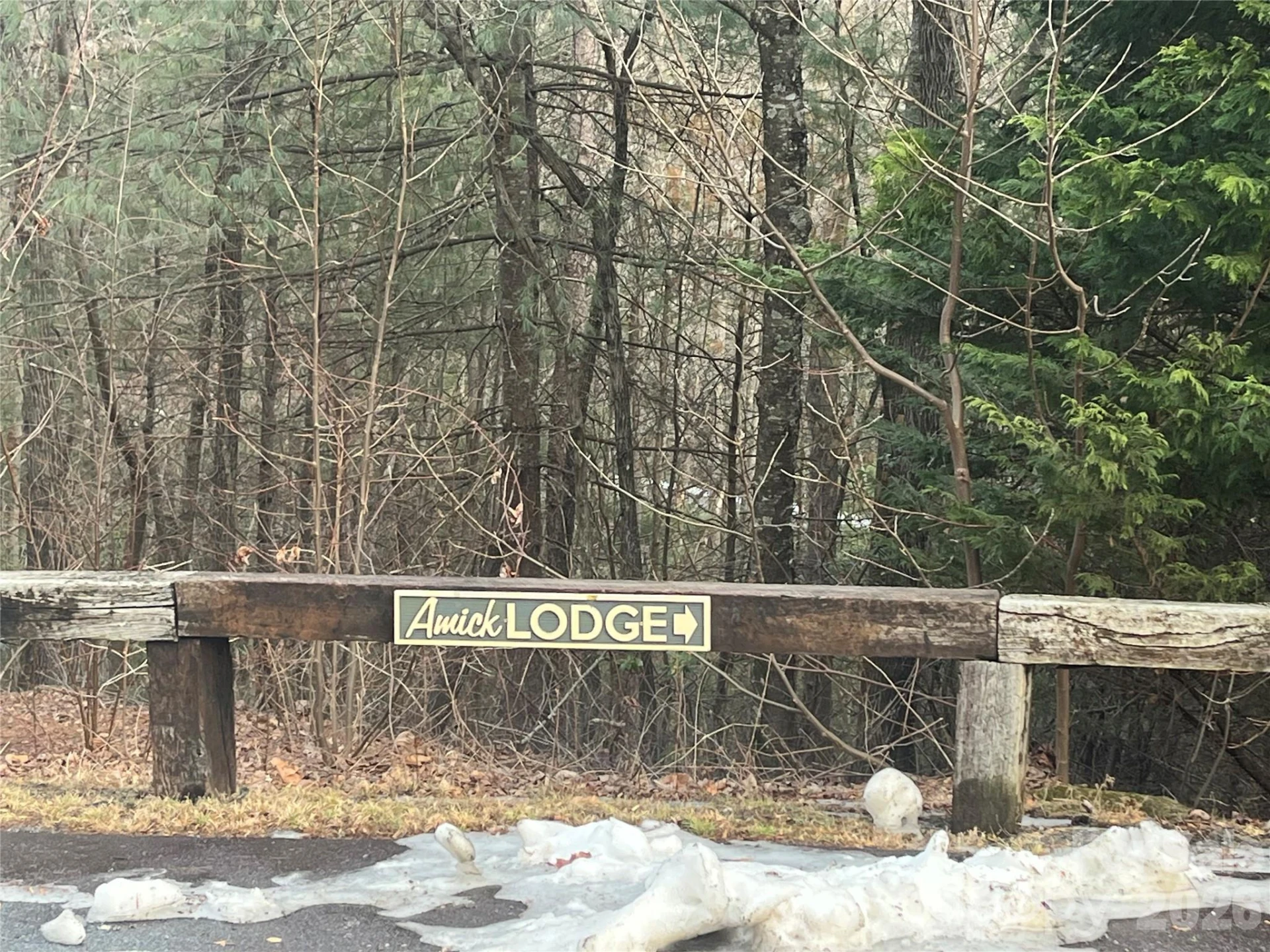 Lot 117 Huckleberry Ridge Lane - Photo 9