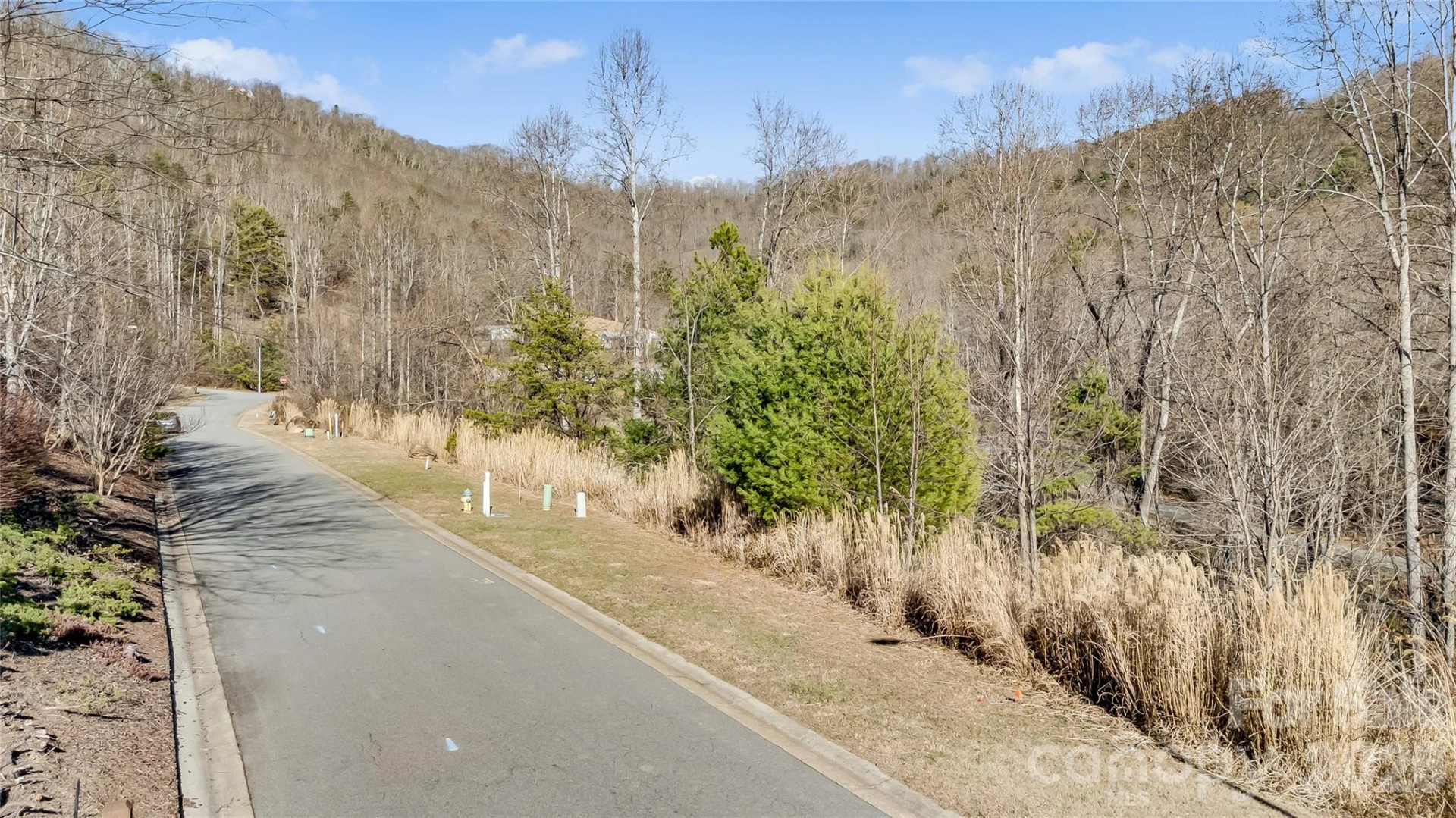 00 Carden Drive #4 - Photo 15