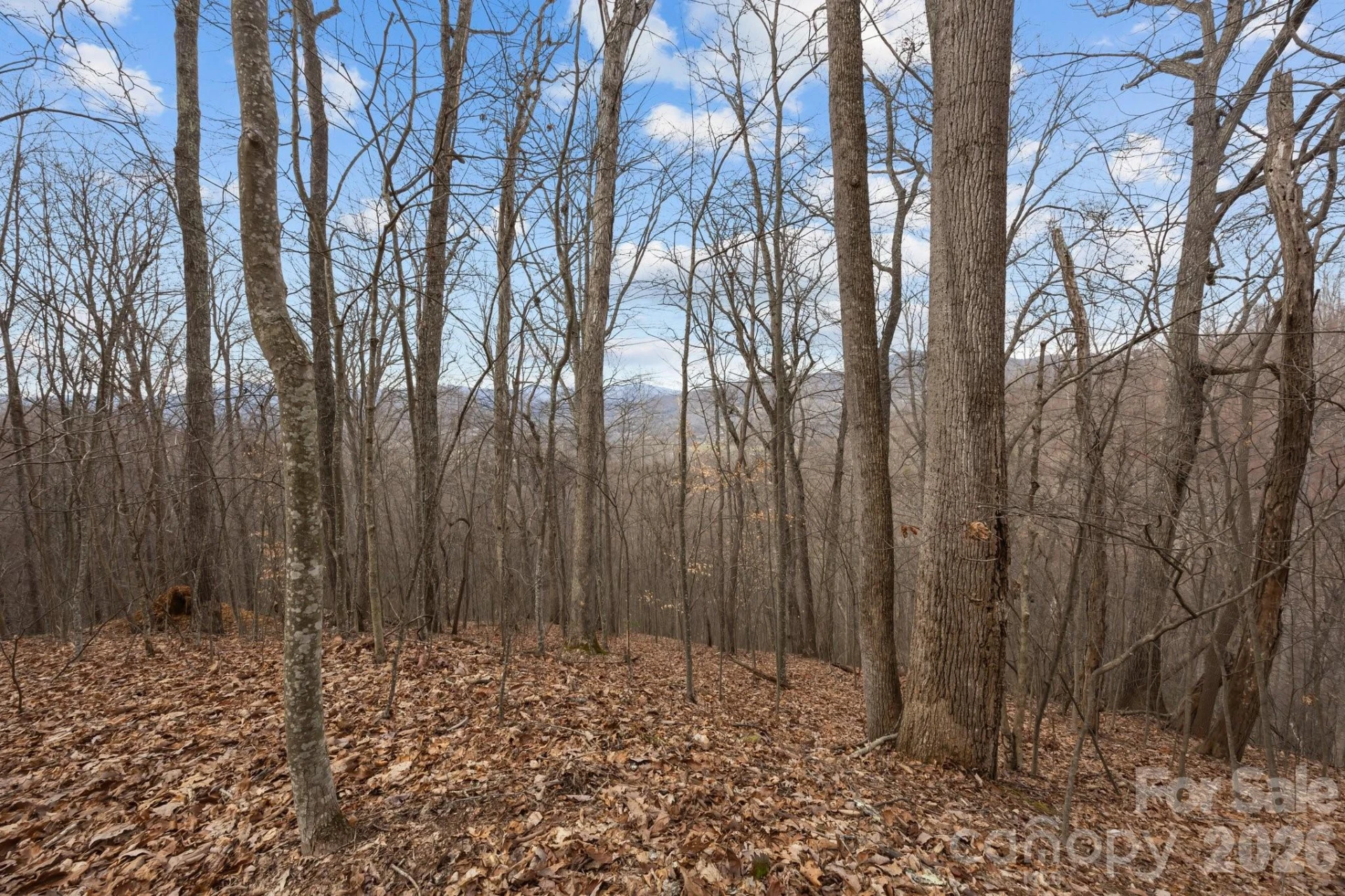 99999 Haynes Cove - Photo 12