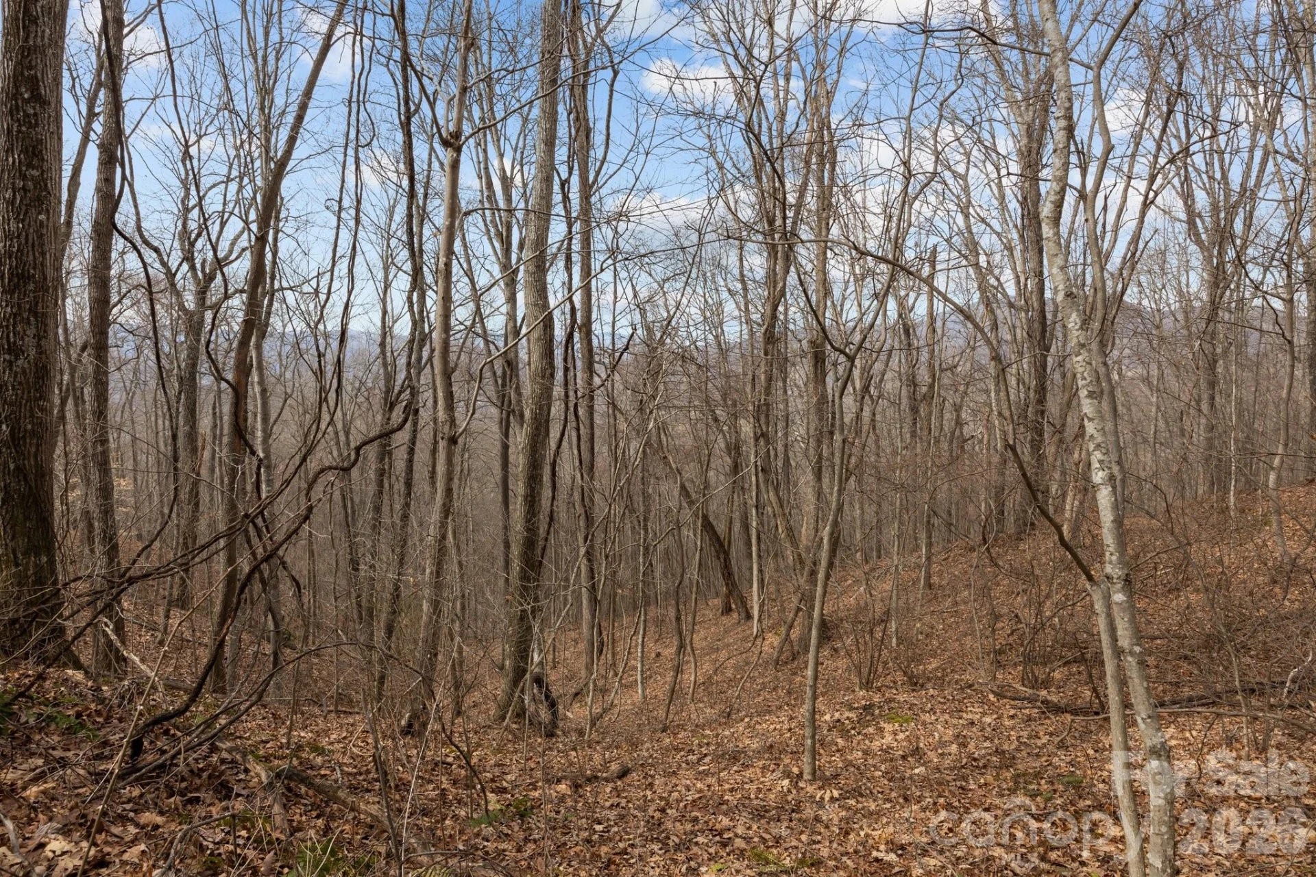 99999 Haynes Cove - Photo 13