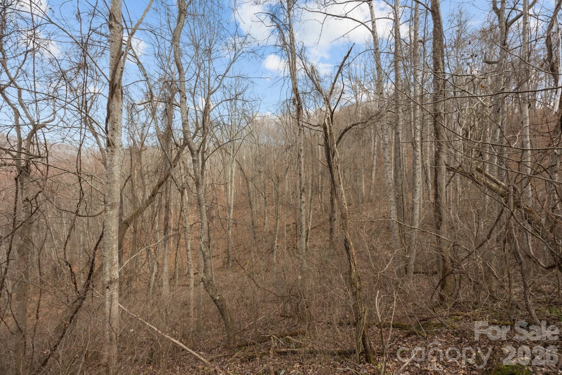99999 Haynes Cove - Photo 15