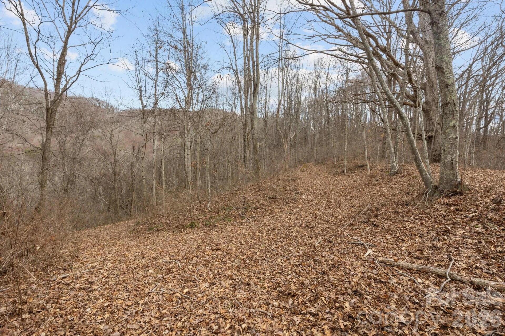 99999 Haynes Cove - Photo 16