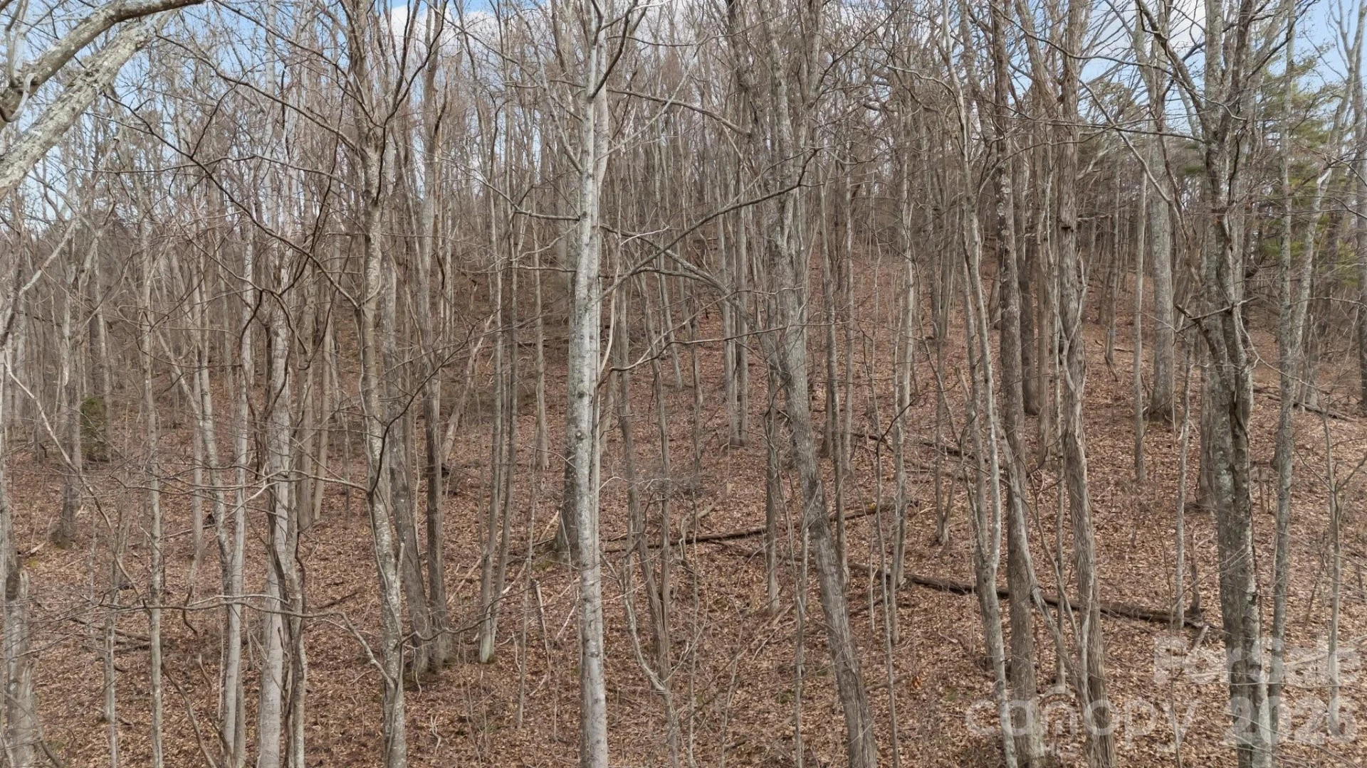 99999 Haynes Cove - Photo 3