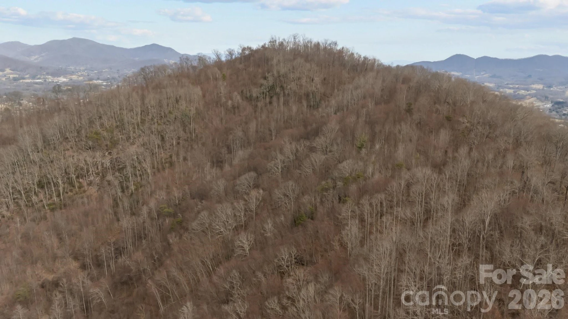 99999 Haynes Cove - Photo 4