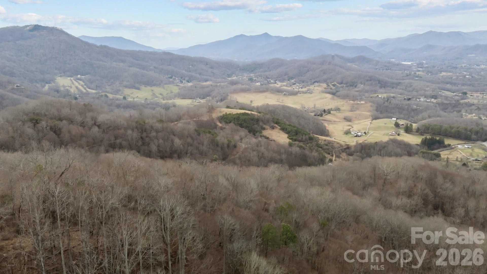 99999 Haynes Cove - Photo 5