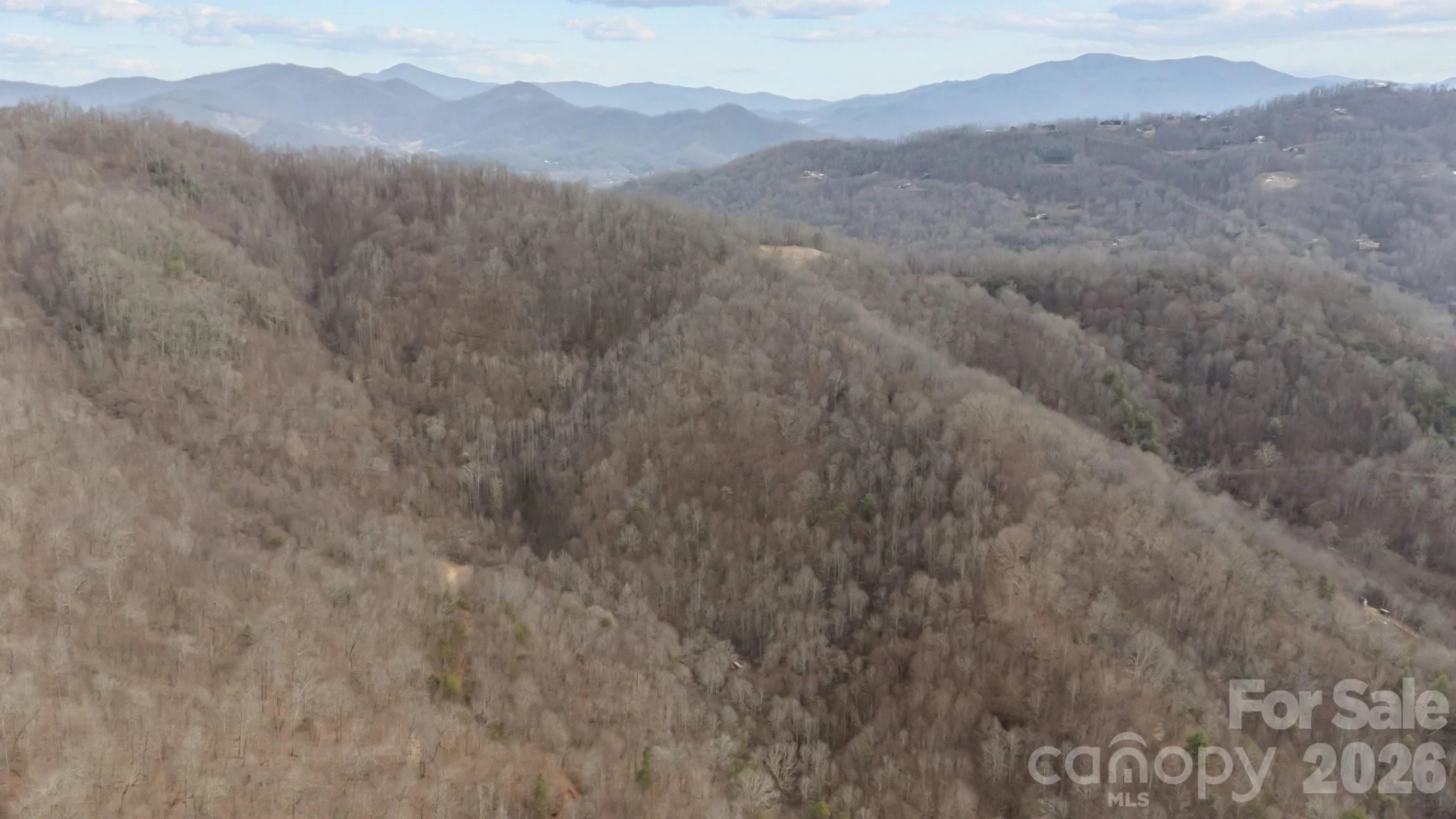 99999 Haynes Cove - Photo 6