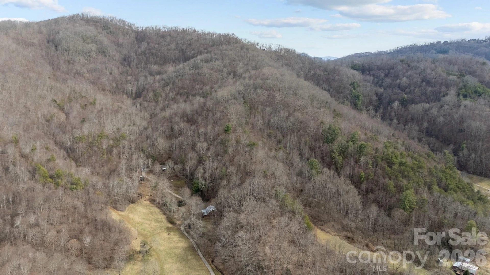 99999 Haynes Cove - Photo 9