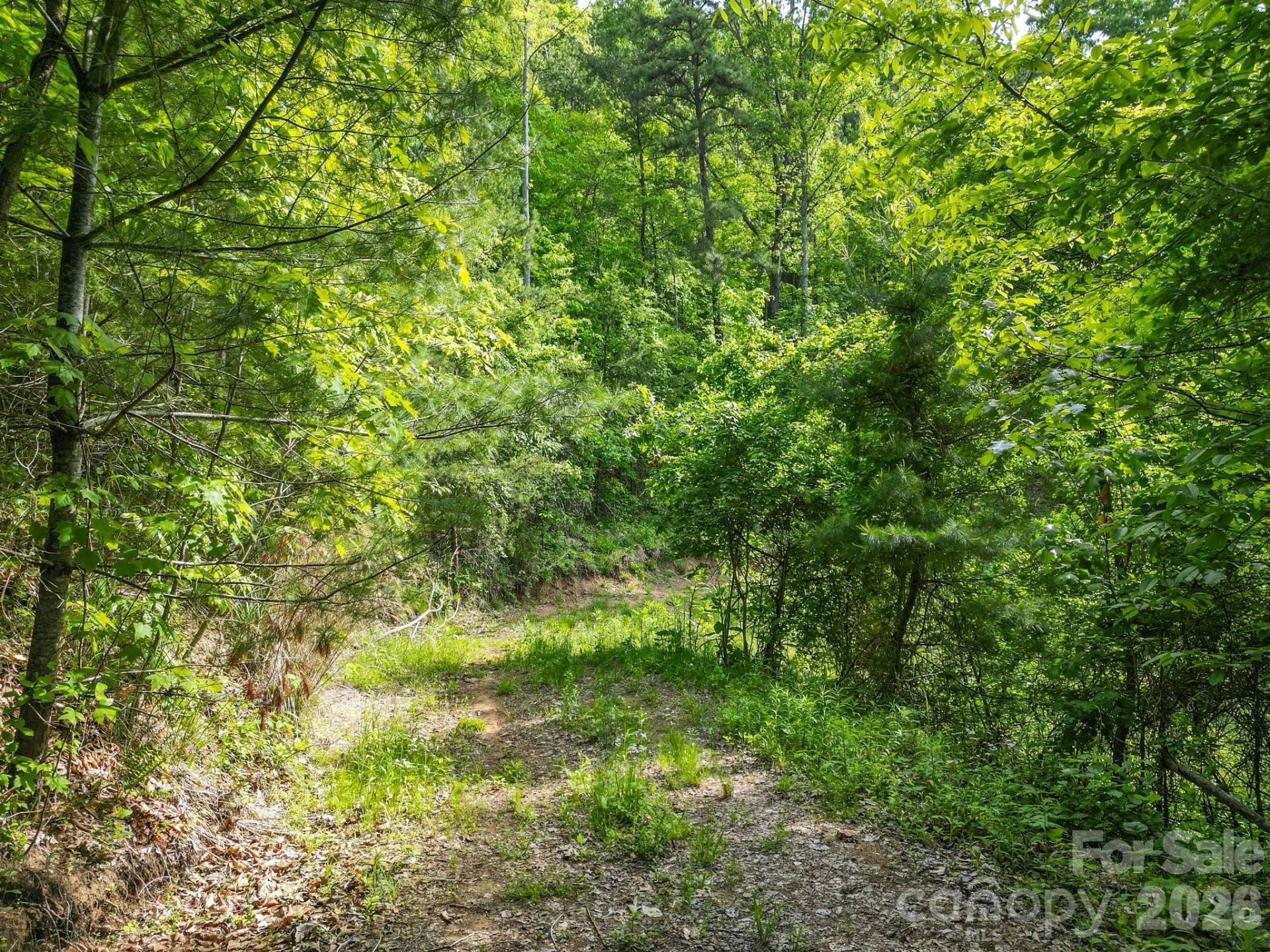 138 Whitfield Lane - Photo 13