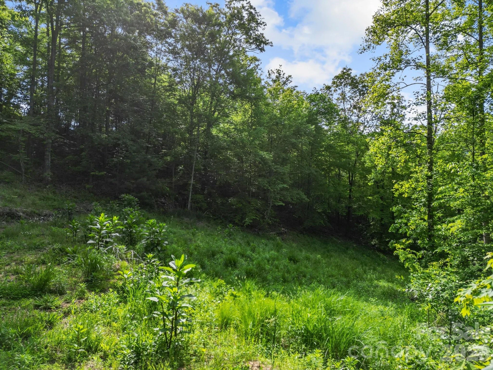 138 Whitfield Lane - Photo 14