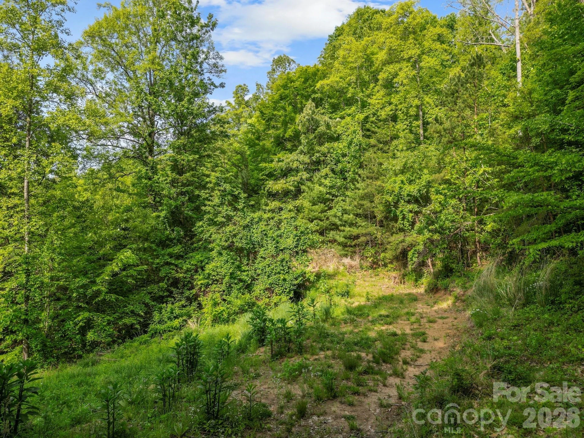 138 Whitfield Lane - Photo 16