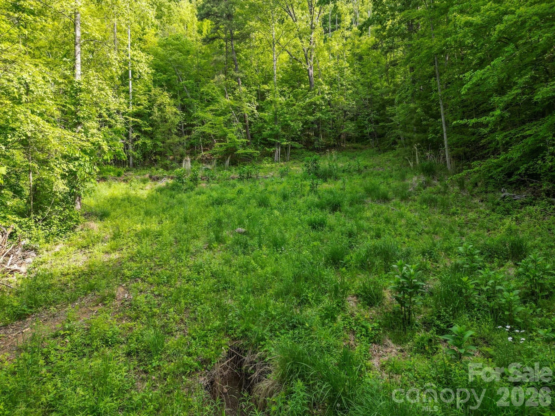 138 Whitfield Lane - Photo 17
