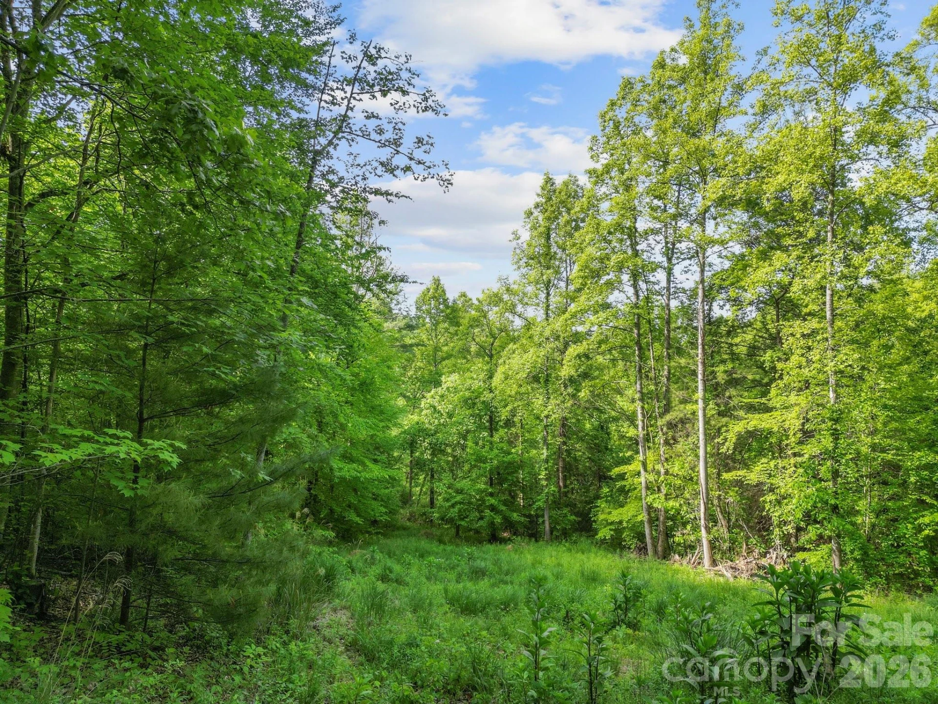 138 Whitfield Lane - Photo 18