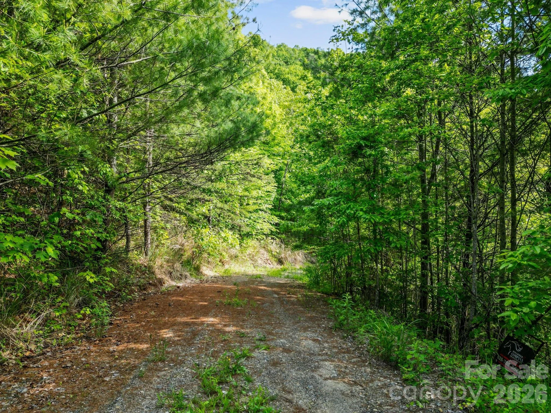 138 Whitfield Lane - Photo 12