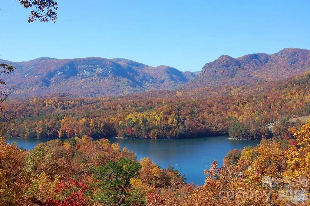 109 Overlook Point Lane - Photo 3