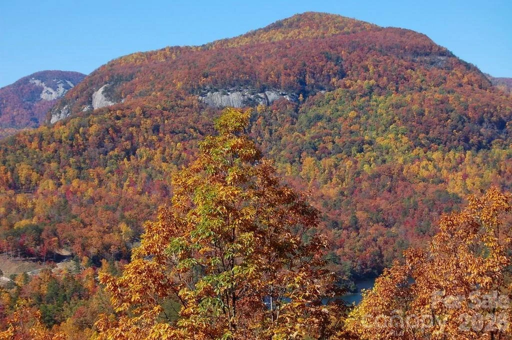 109 Overlook Point Lane - Photo 4