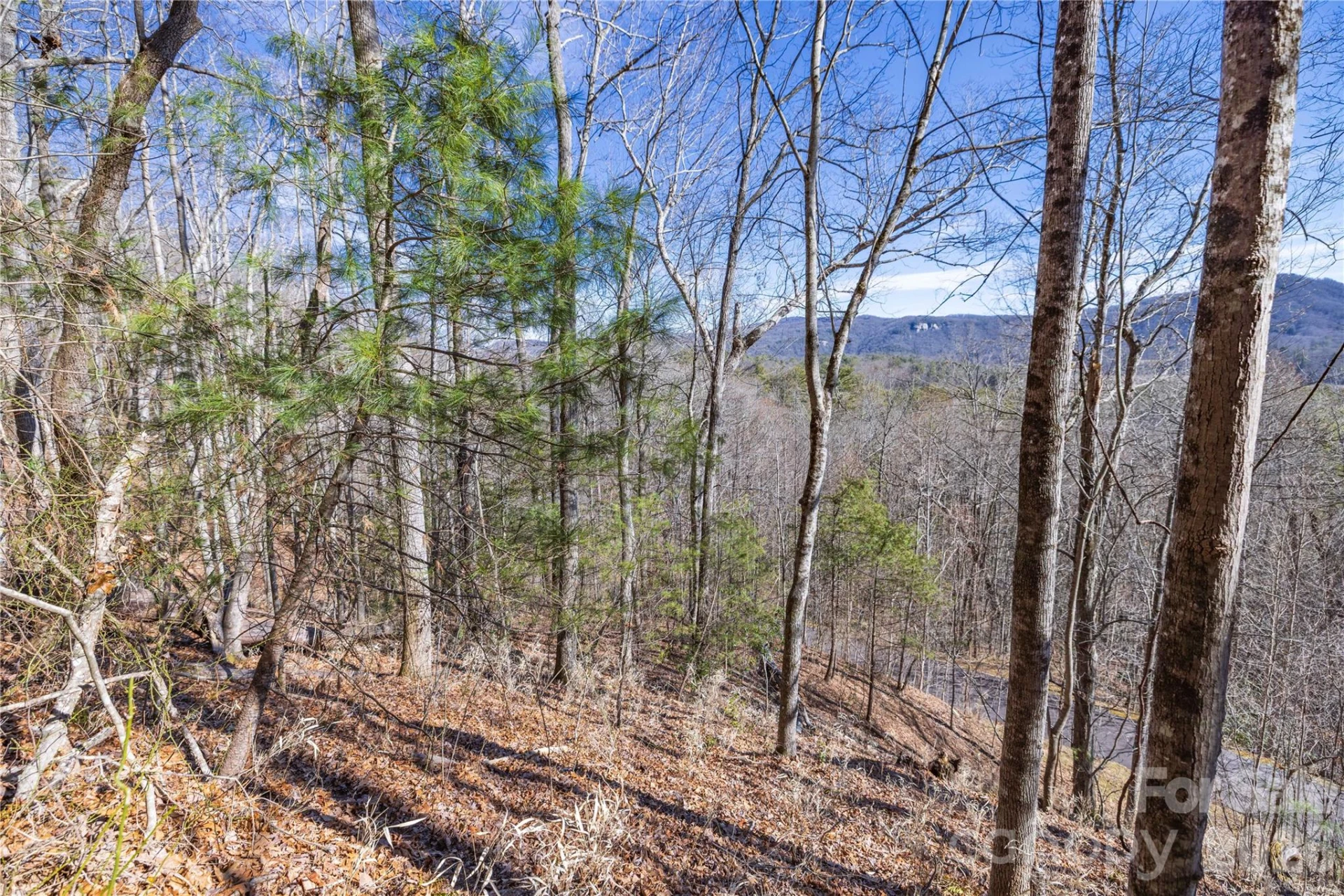 33 High Point Trail - Photo 21