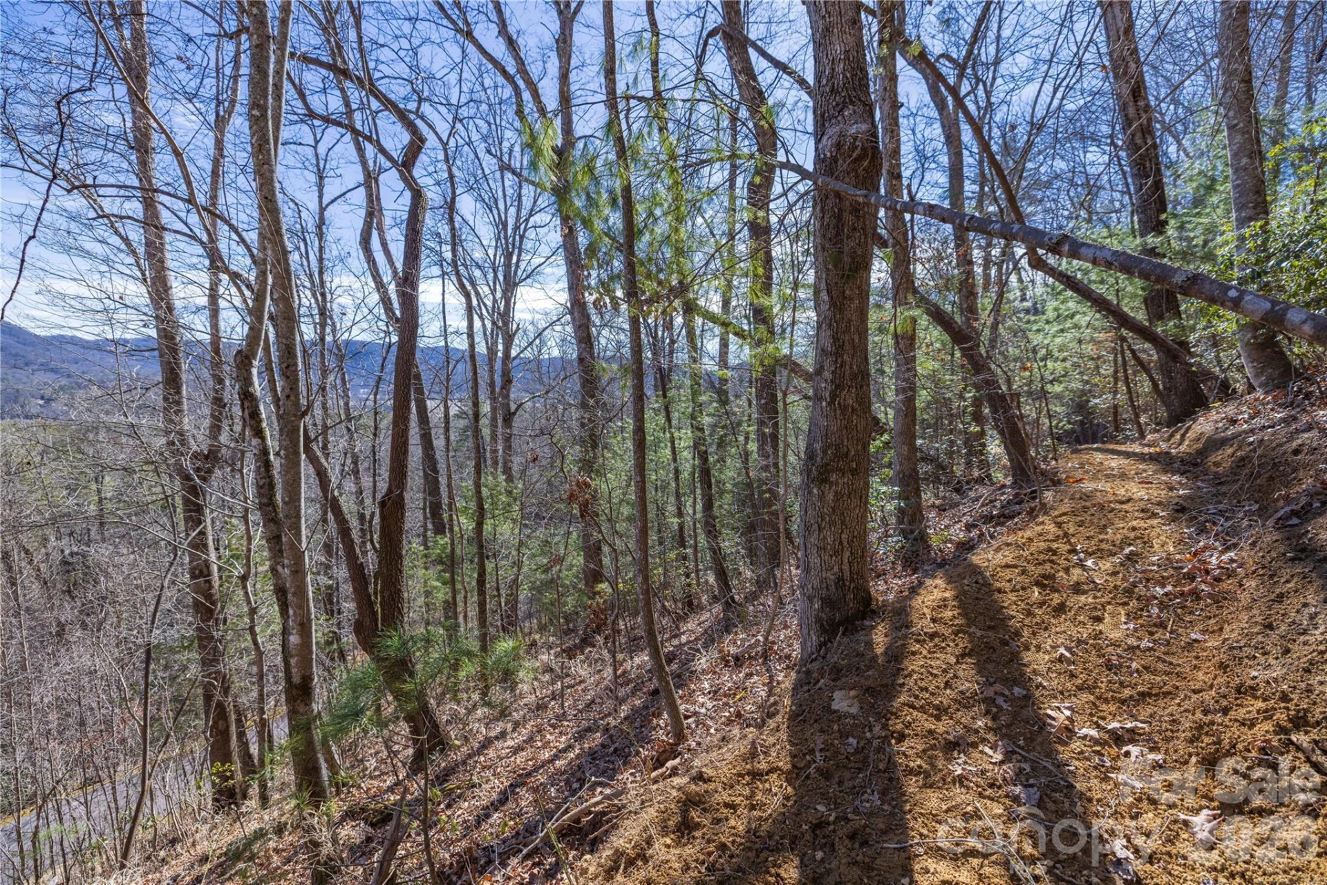 33 High Point Trail - Photo 22