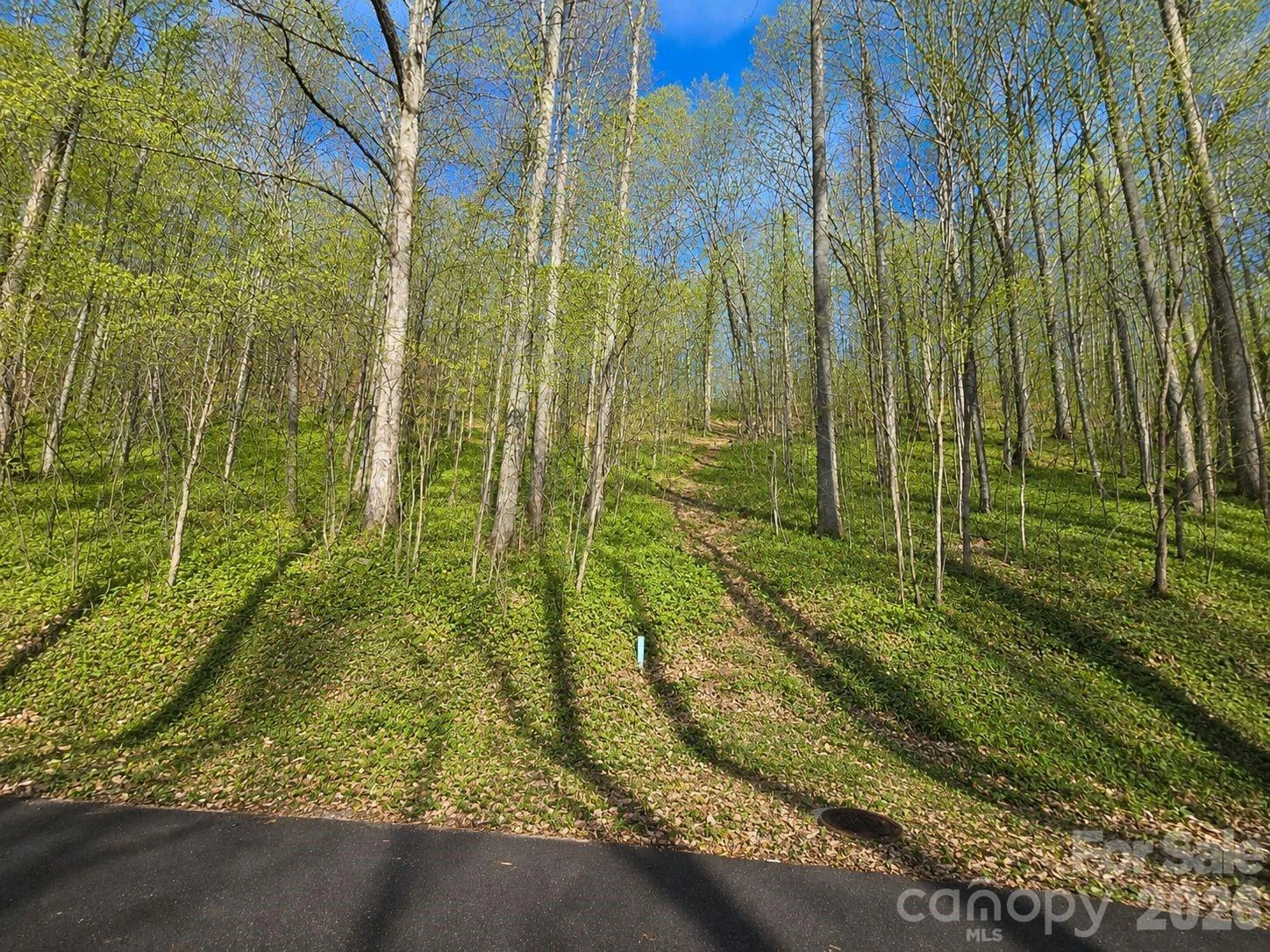 455 Mountain Watch Drive #16