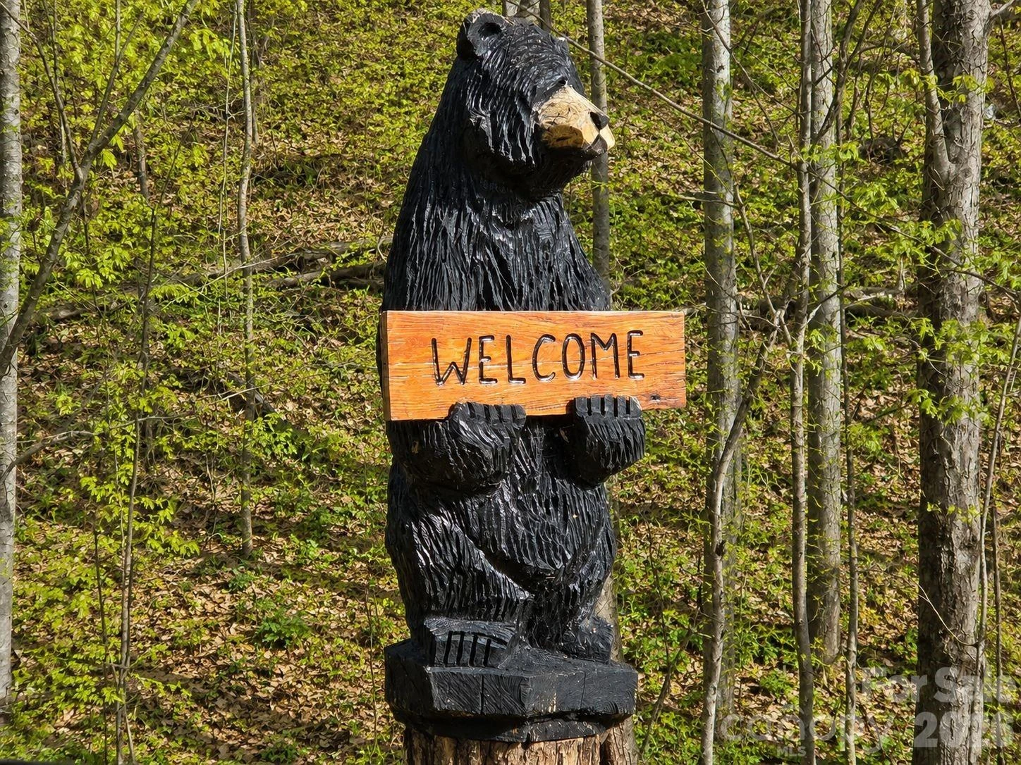 455 Mountain Watch Drive #16 - Photo 2