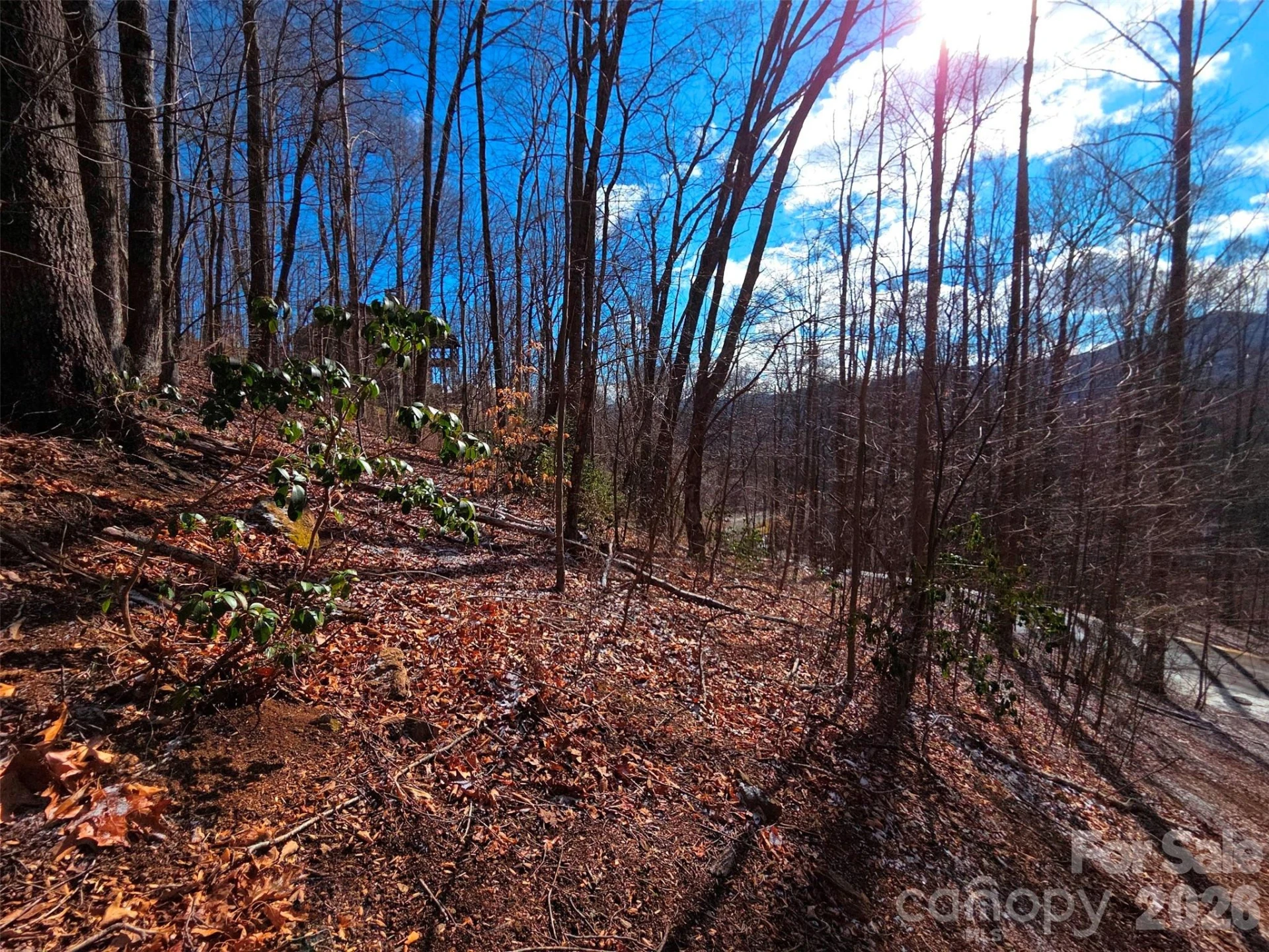 455 Mountain Watch Drive #16 - Photo 14