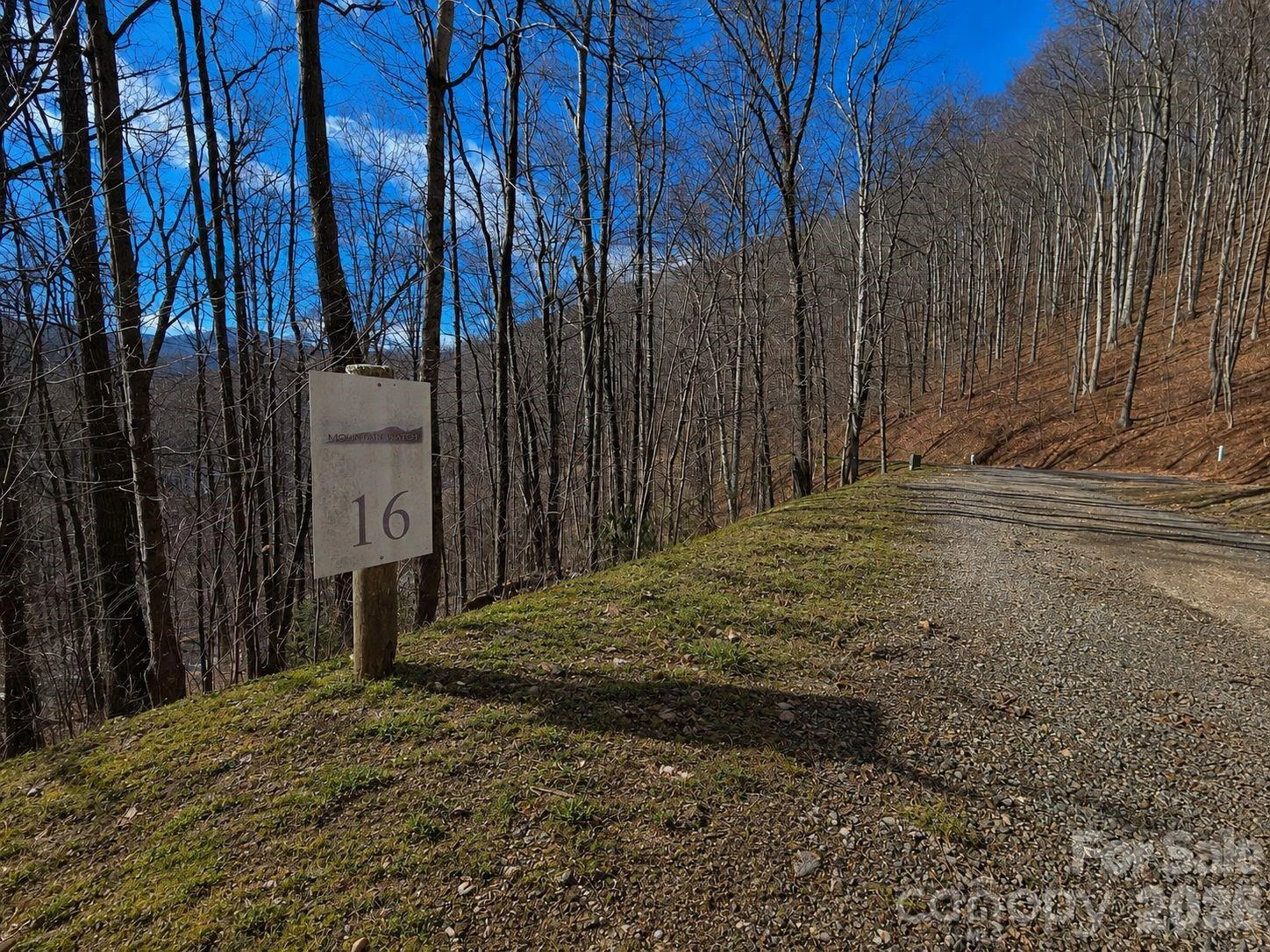 455 Mountain Watch Drive #16 - Photo 8