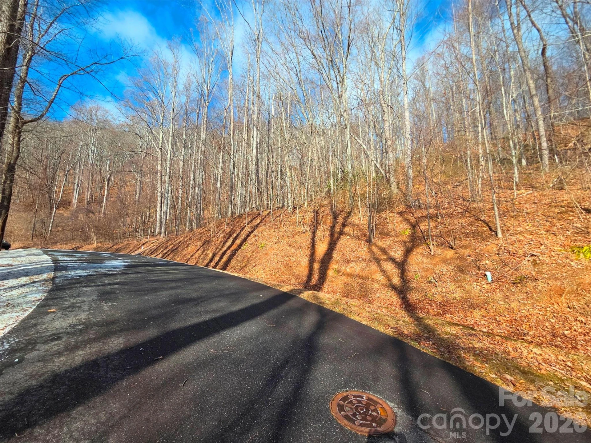 455 Mountain Watch Drive #16 - Photo 10