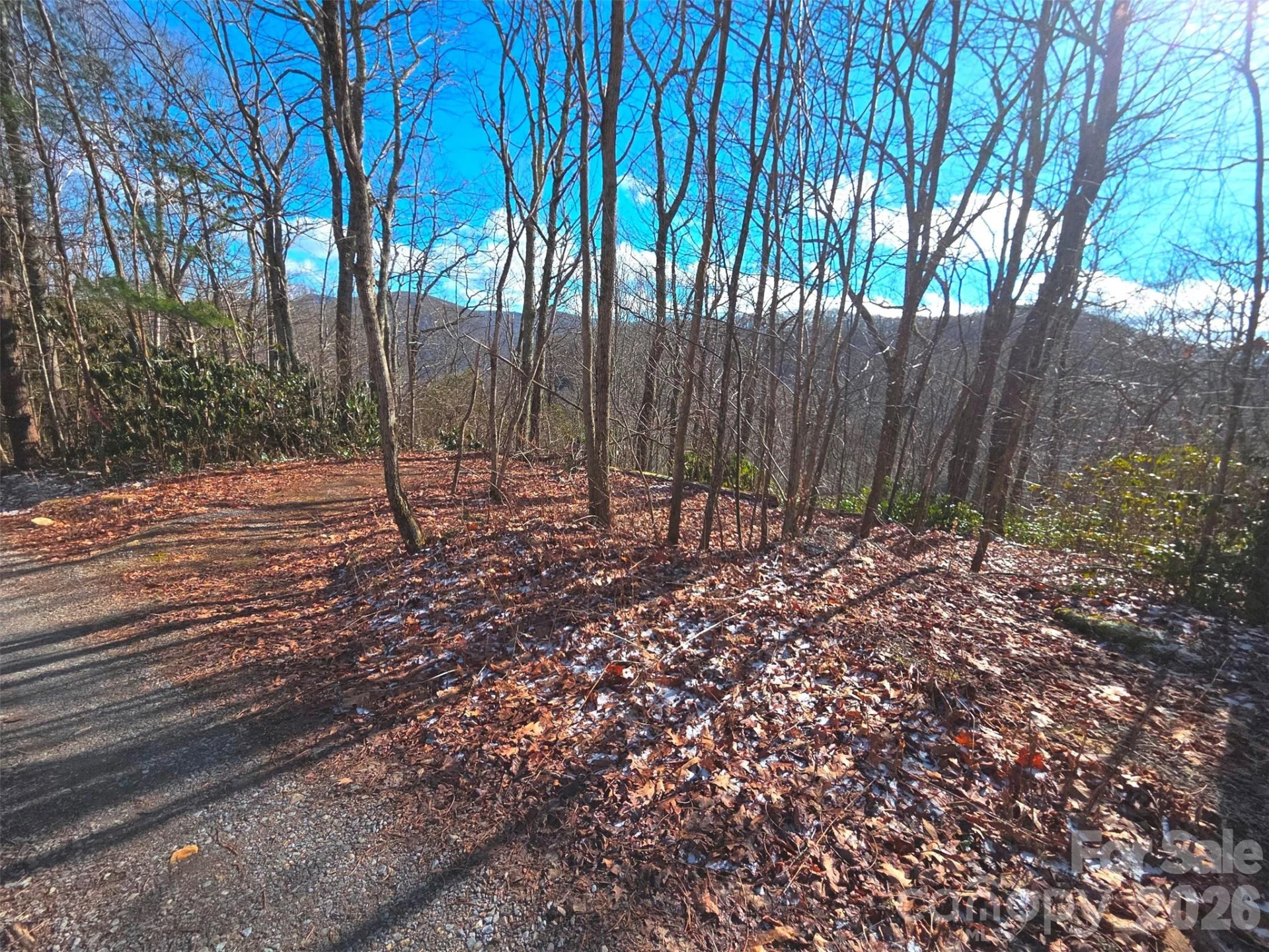 550 Sky Drive #12A - Photo 6