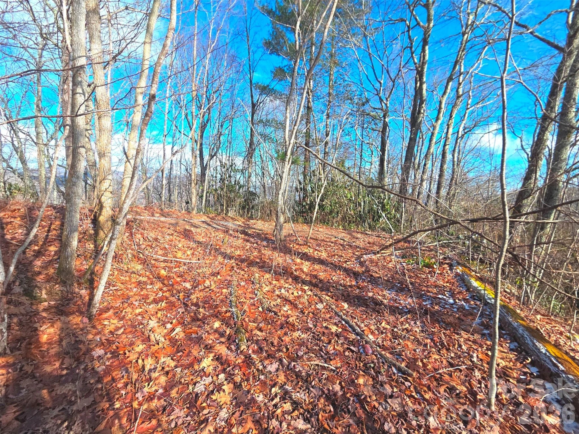 550 Sky Drive #12A - Photo 3