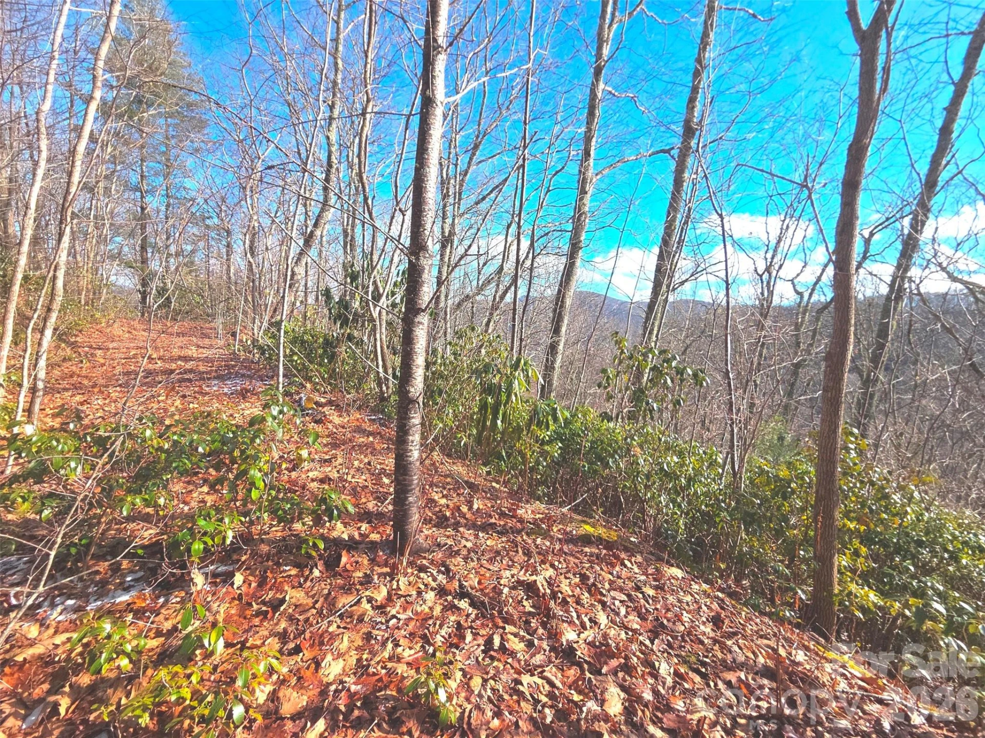 550 Sky Drive #12A - Photo 4