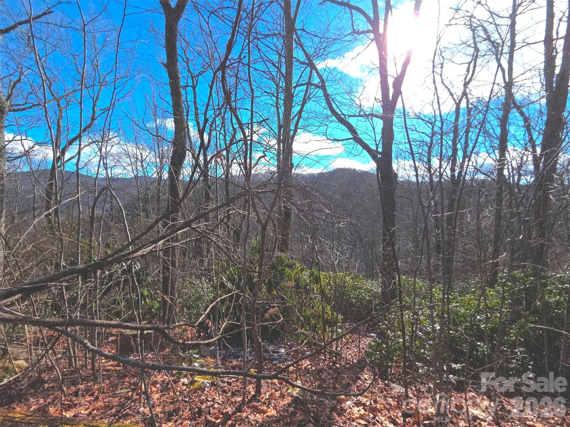 550 Sky Drive #12A - Photo 8