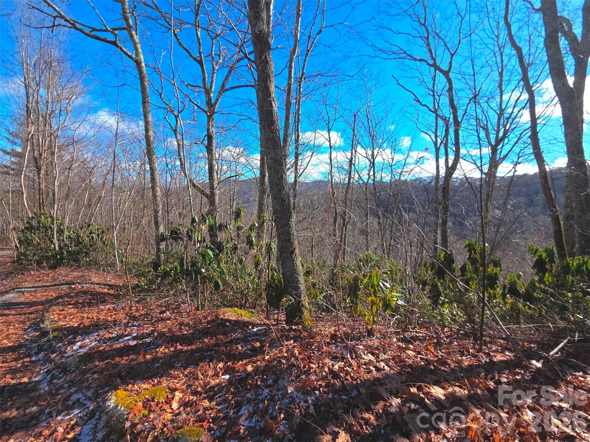 550 Sky Drive #12A - Photo 11