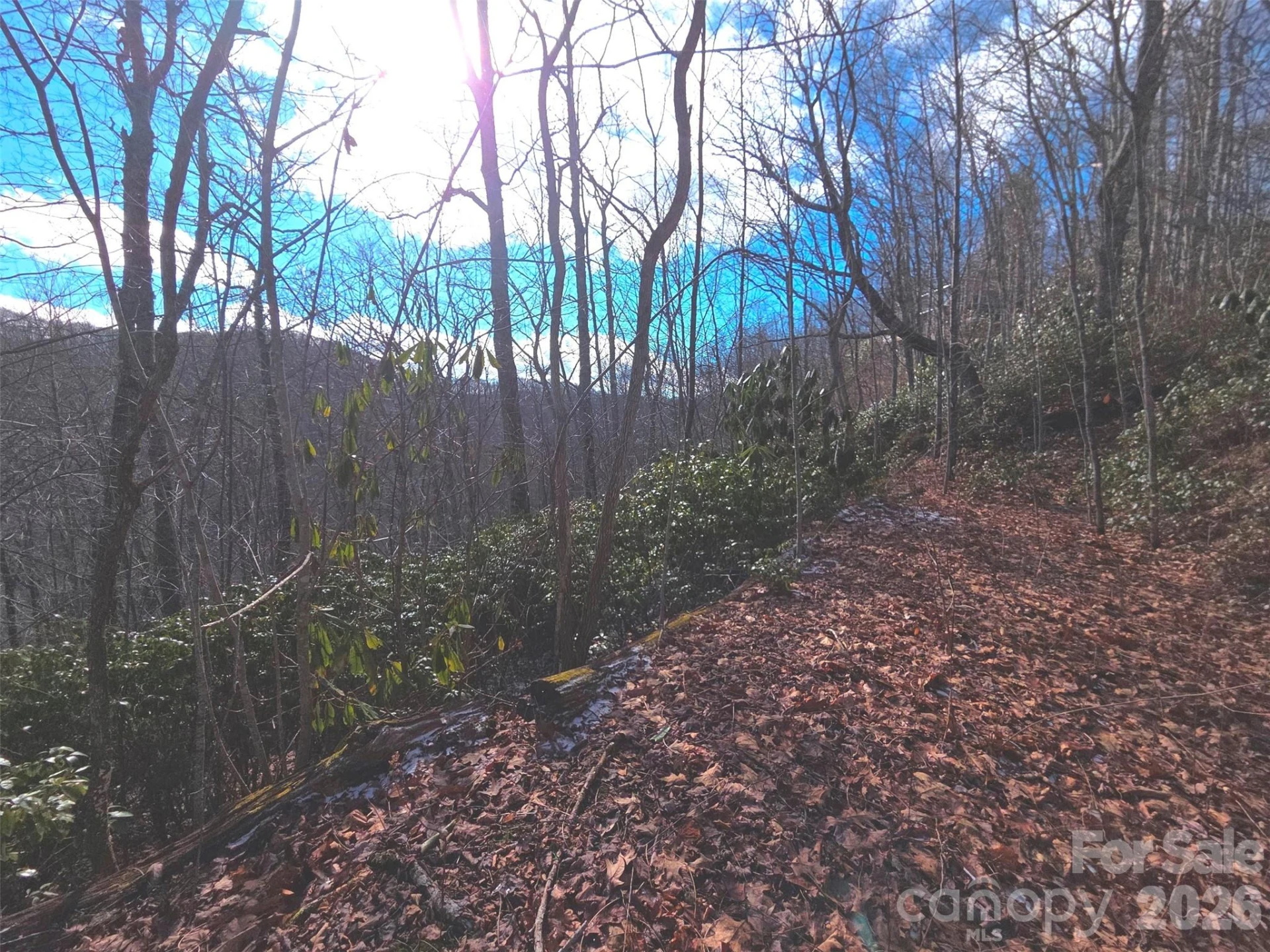 550 Sky Drive #12A - Photo 12