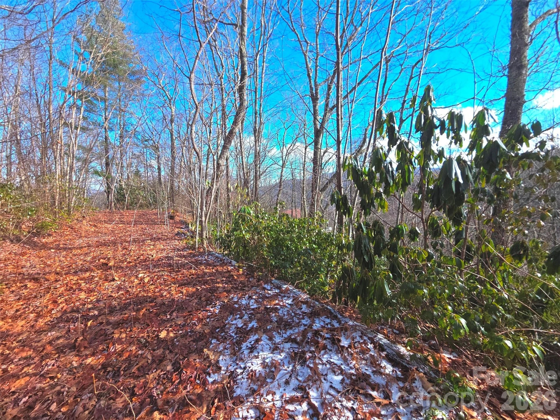 550 Sky Drive #12A - Photo 13