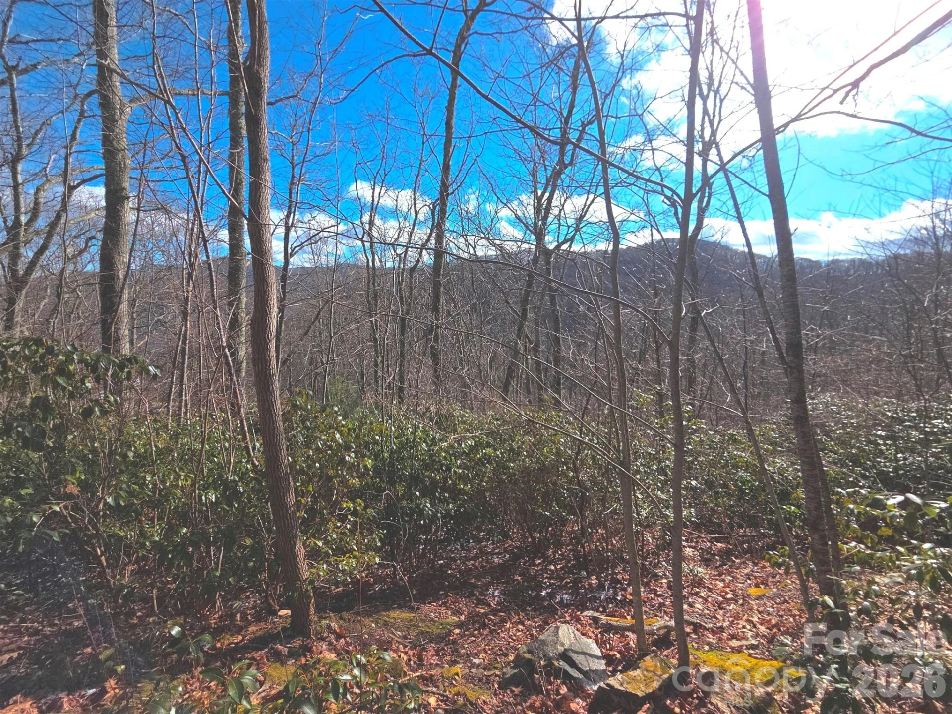 550 Sky Drive #12A - Photo 5