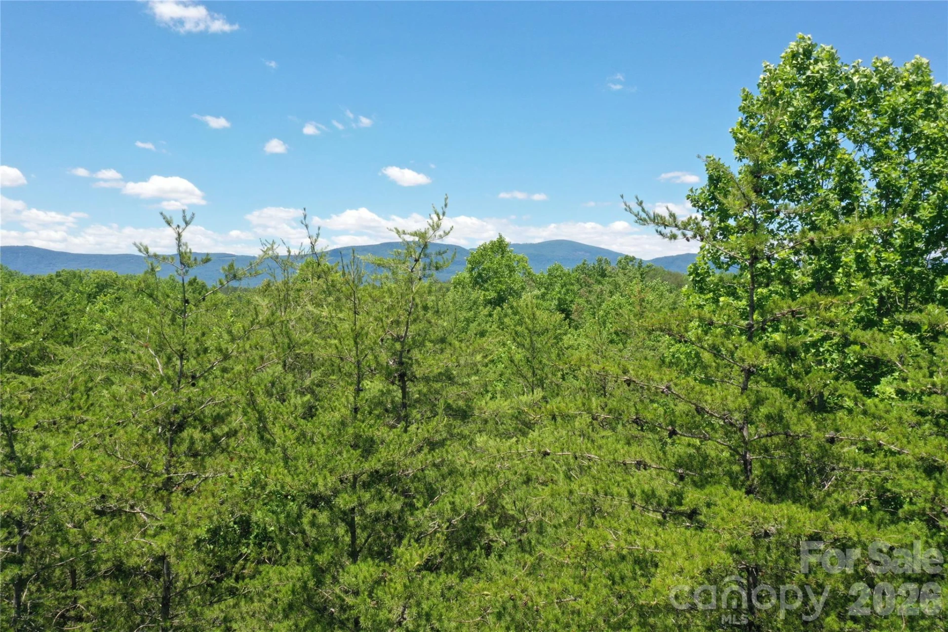 0 Burt Blackwell Road - Photo 5