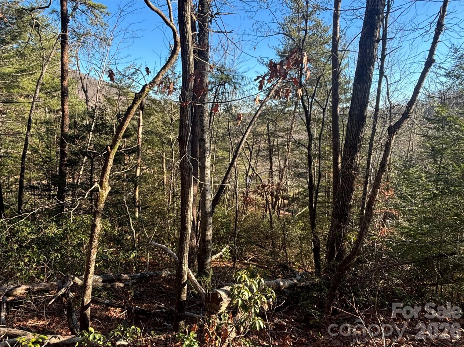 Lot 19 Nicklaus Lane - Photo 2