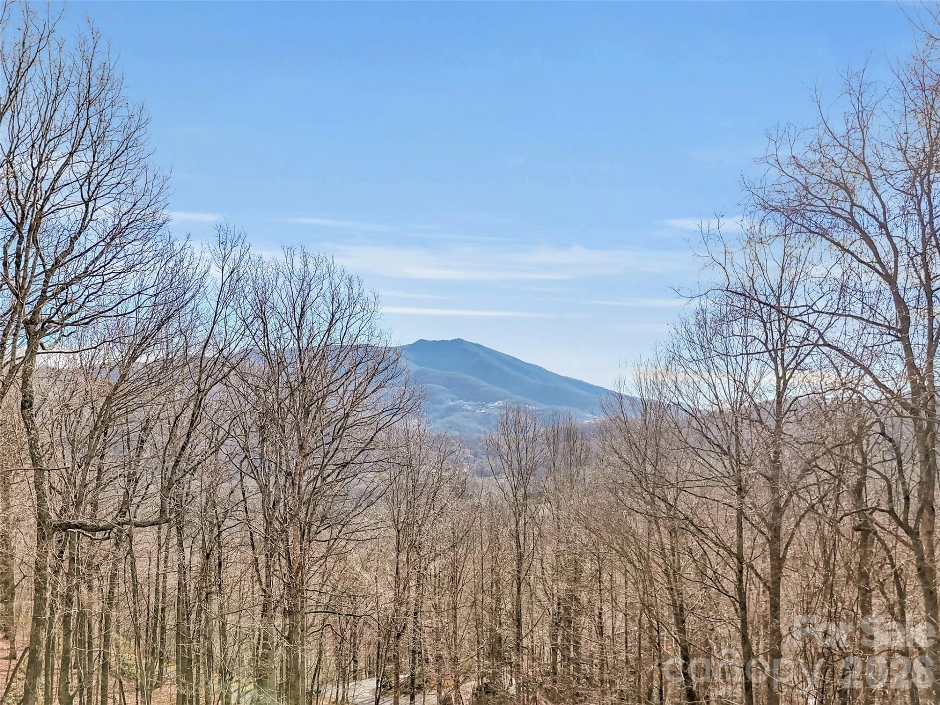 371 Falcon Ridge Drive - Photo 44