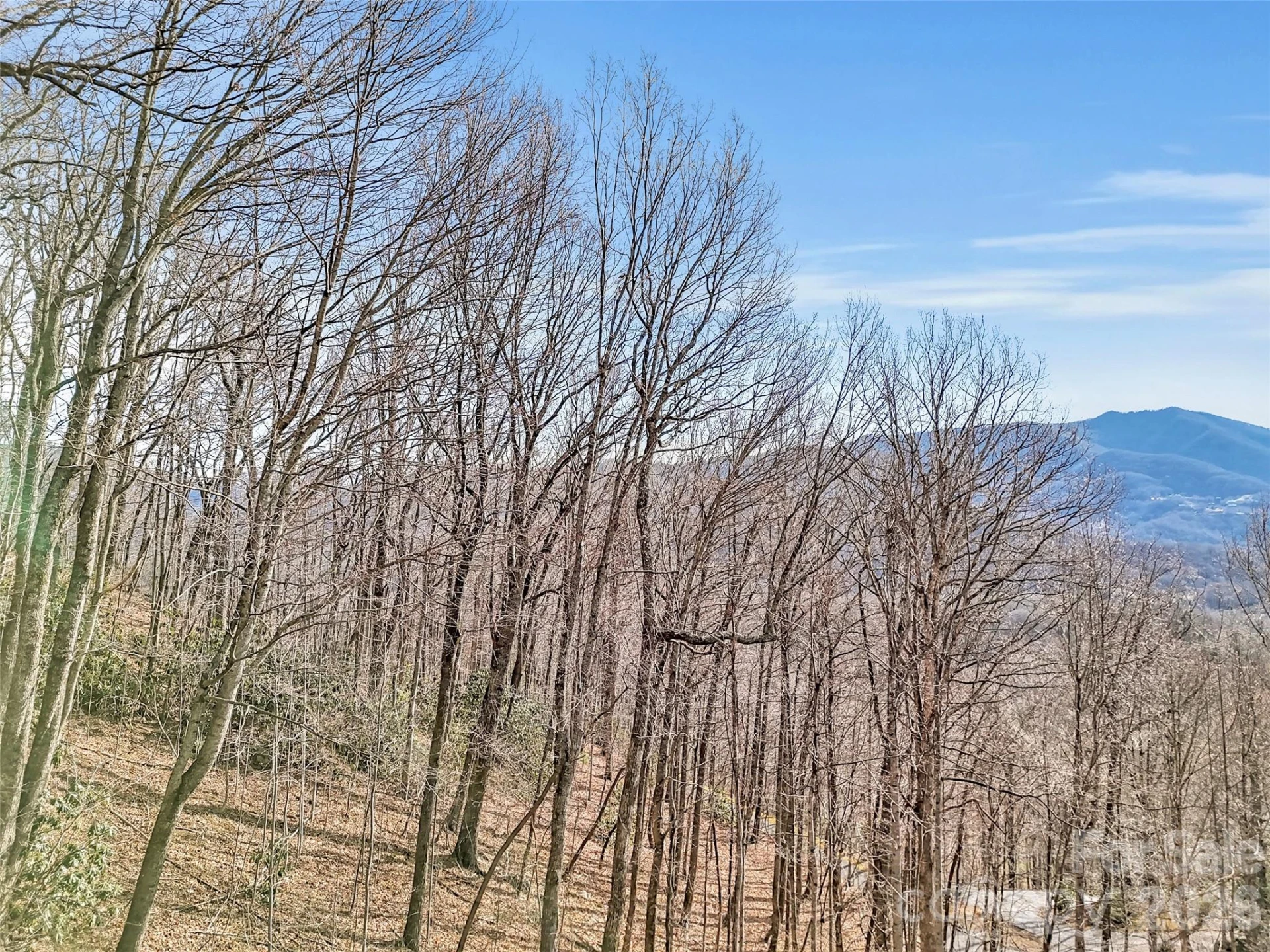 371 Falcon Ridge Drive - Photo 45