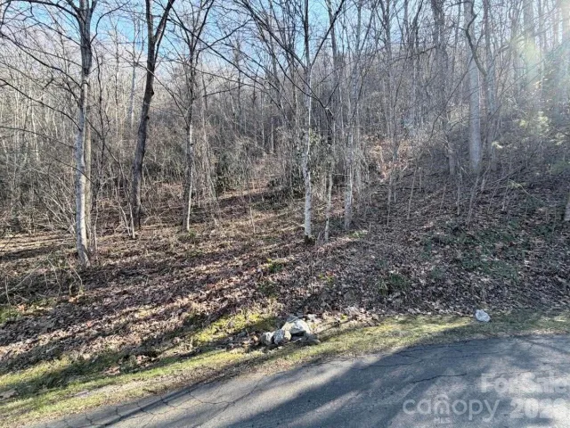 76 View Ridge Parkway, Leicester, NC, 28748