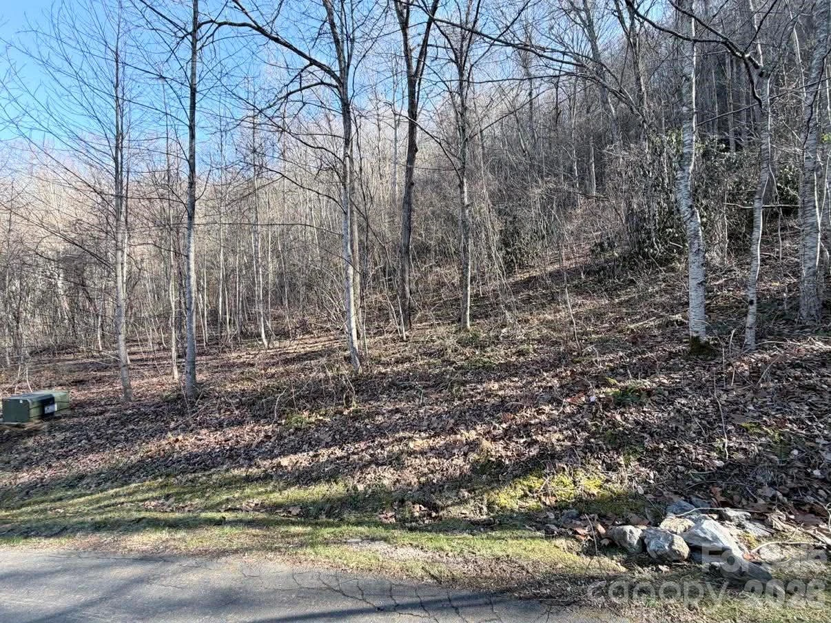 76 View Ridge Parkway #7 - Photo 2
